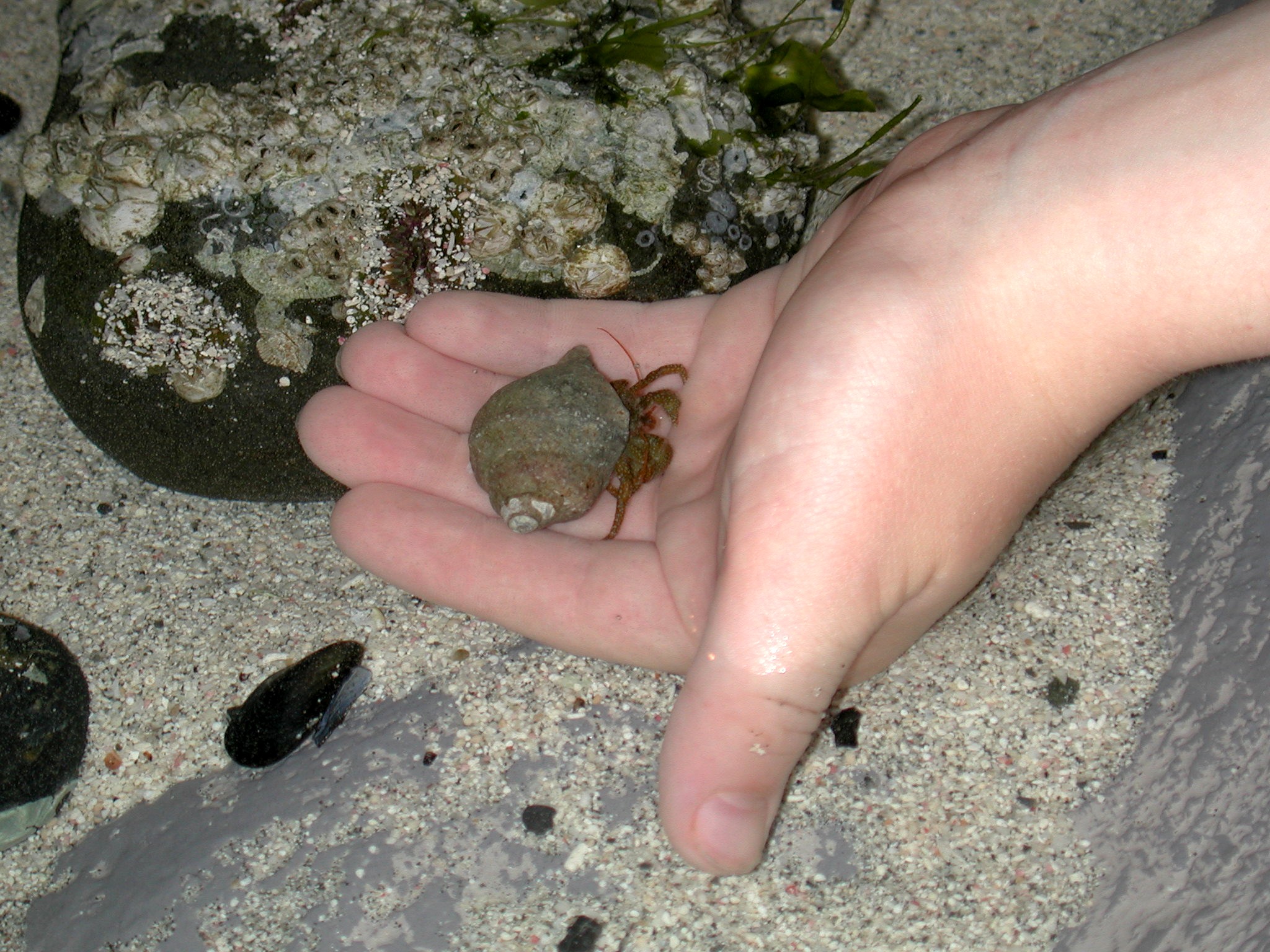 DSCN1892.JPG, 764230 bytes, 8/05/01