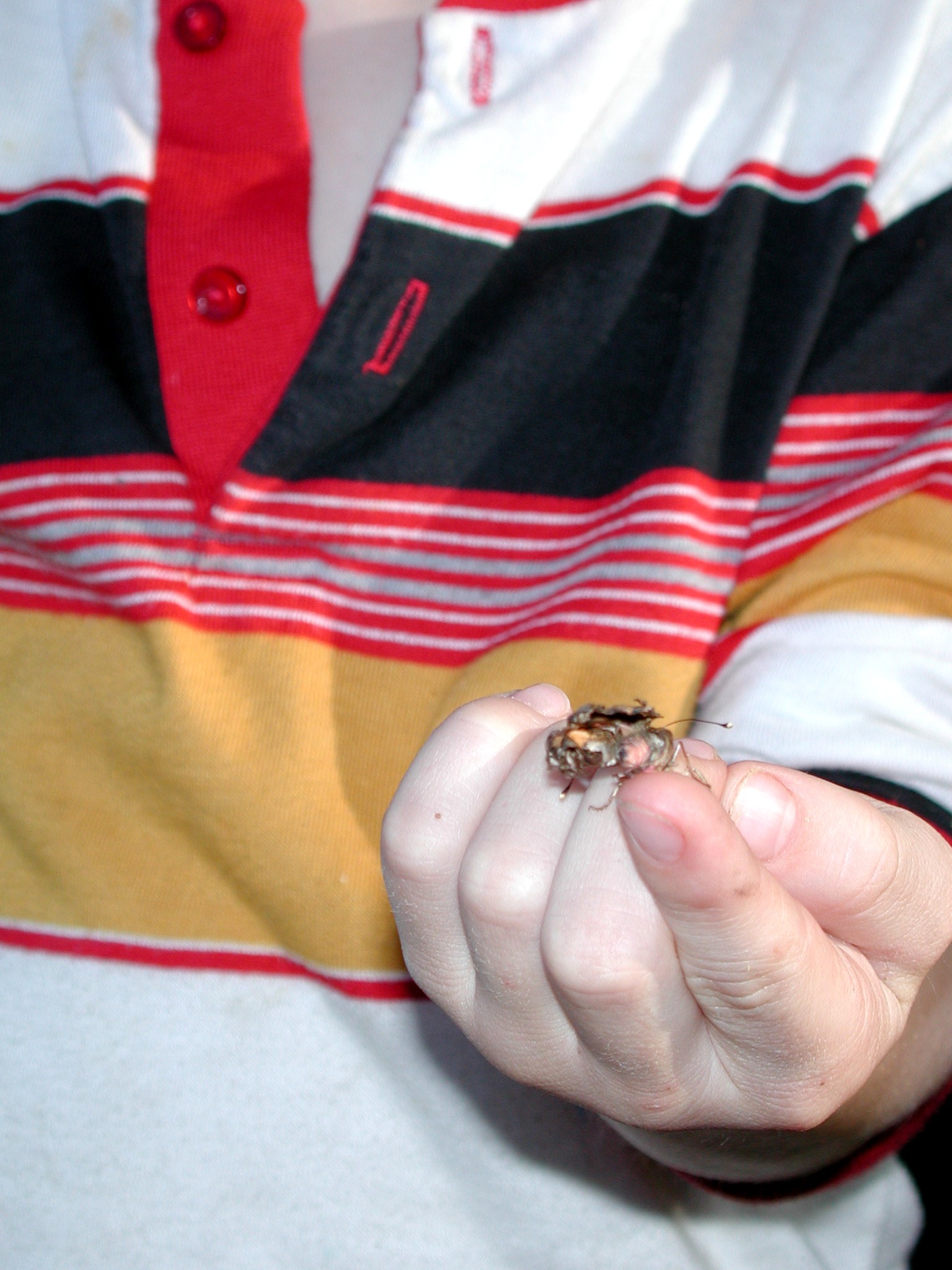 DSCN1820.JPG, 574597 bytes, 8/05/01