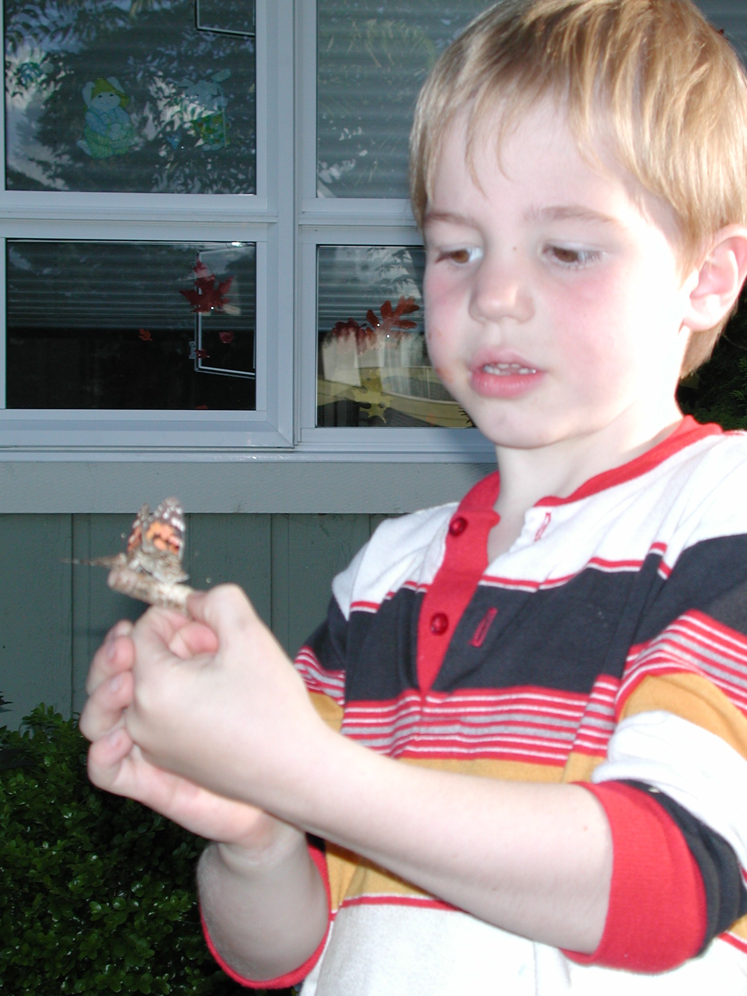 DSCN1822.JPG, 549192 bytes, 8/05/01