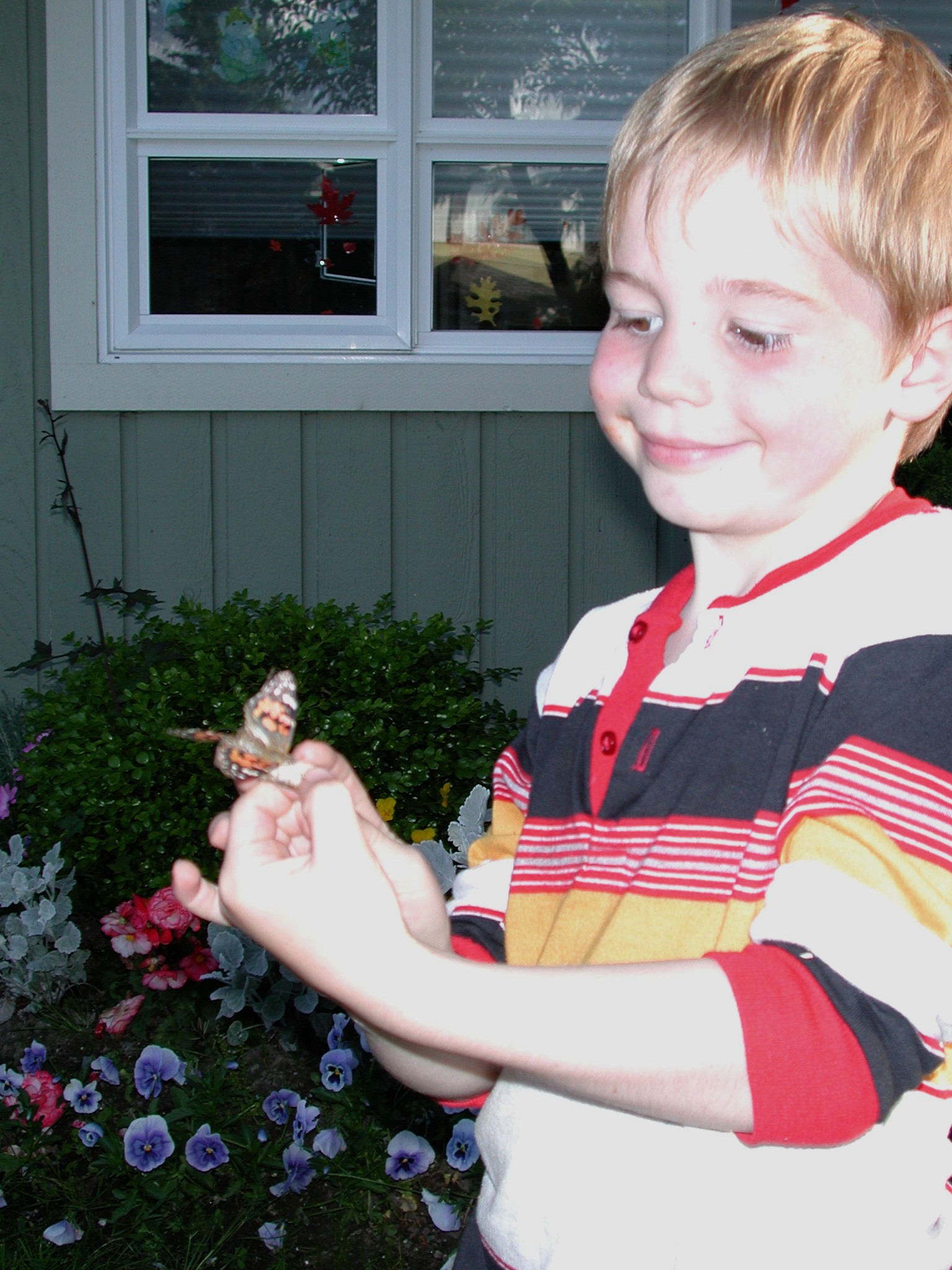 DSCN1823.JPG, 557502 bytes, 8/05/01