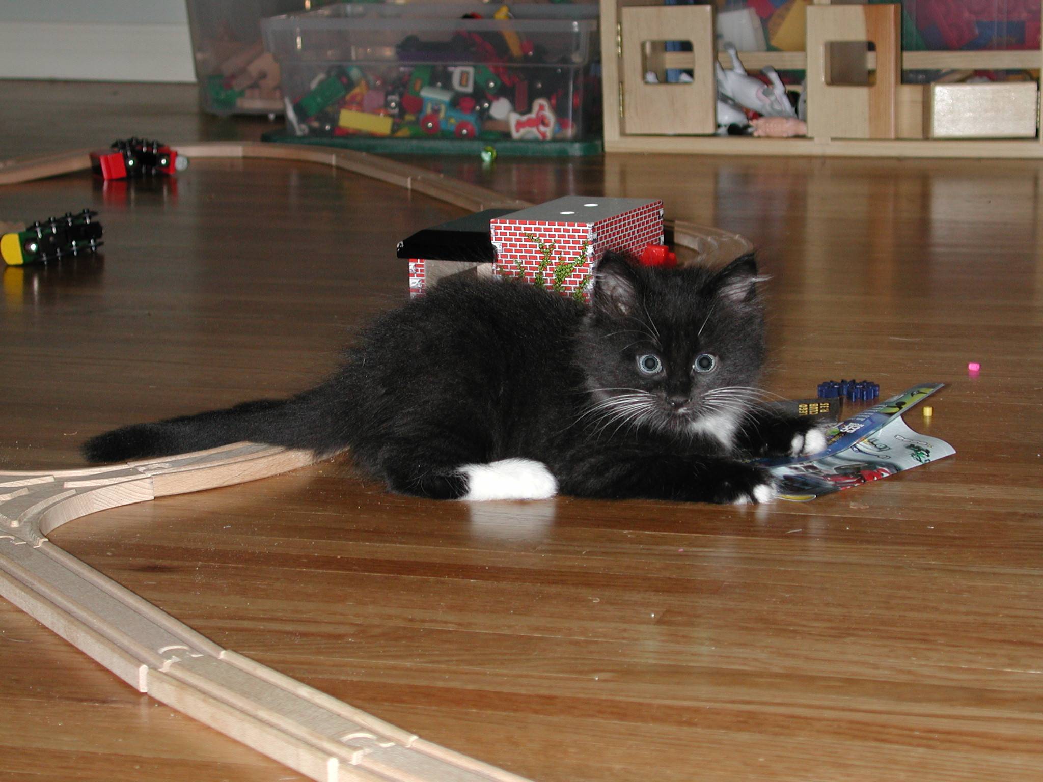 DSCN2343.JPG, 281554 bytes, 10/12/01