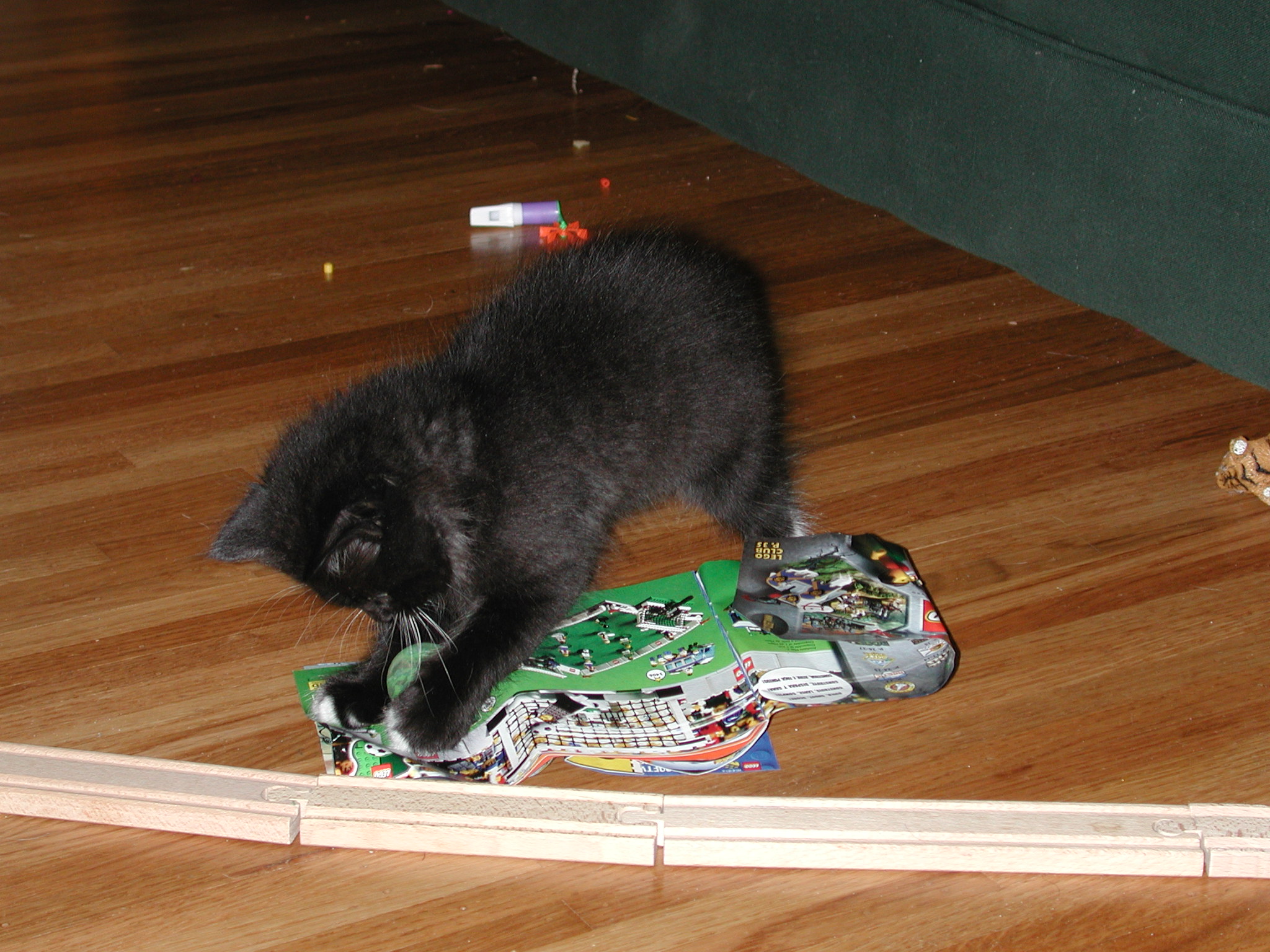 DSCN2346.JPG, 698022 bytes, 10/12/01