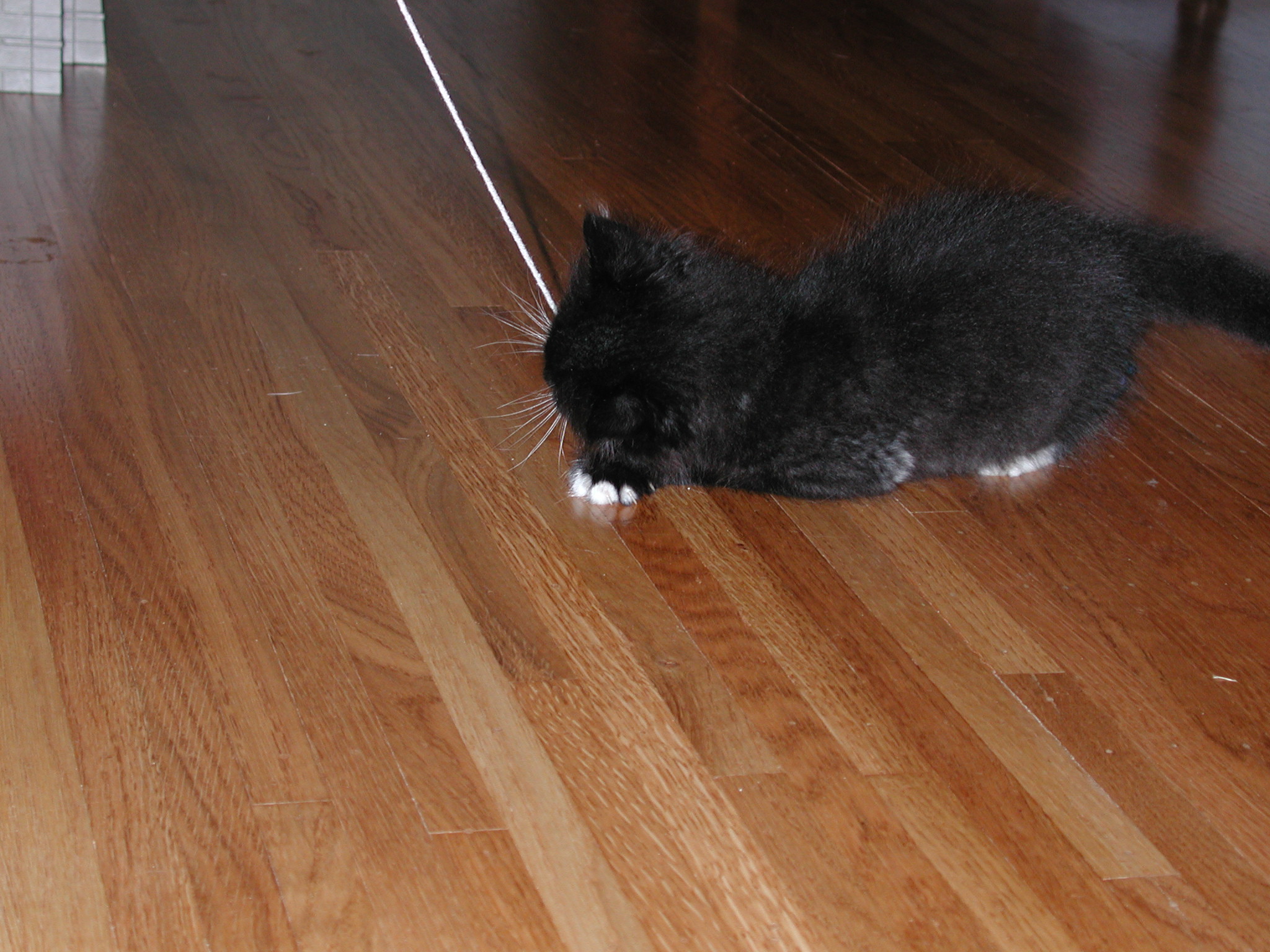 DSCN2329.JPG, 712256 bytes, 10/02/01