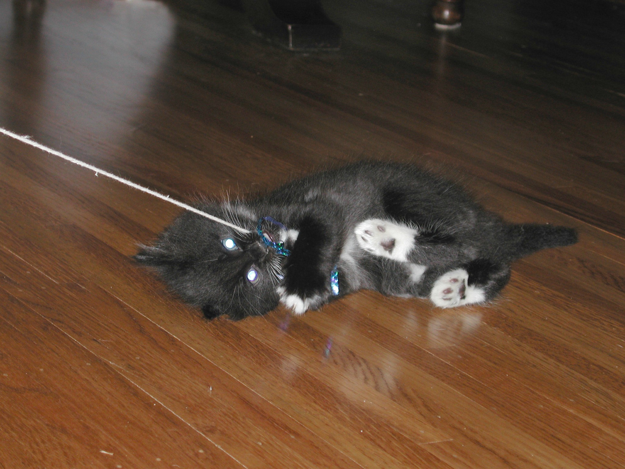 DSCN2330.JPG, 595665 bytes, 10/12/01