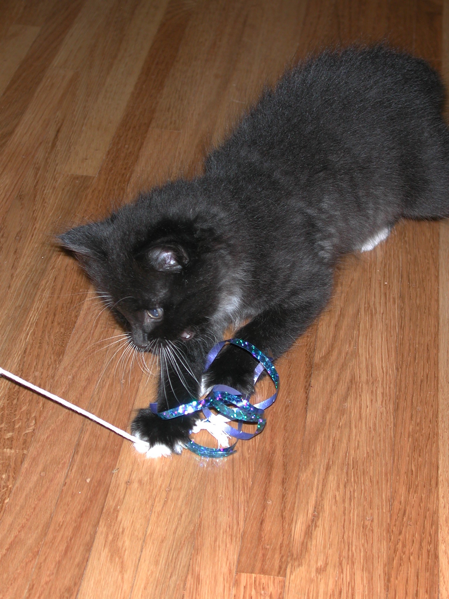 DSCN2331.JPG, 671644 bytes, 10/12/01