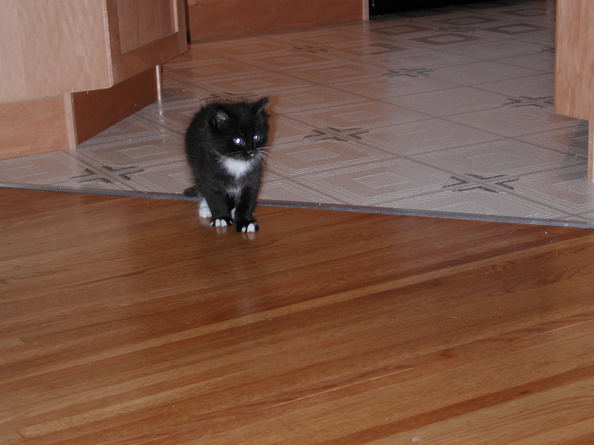 DSCN2332.JPG, 720957 bytes, 10/02/01