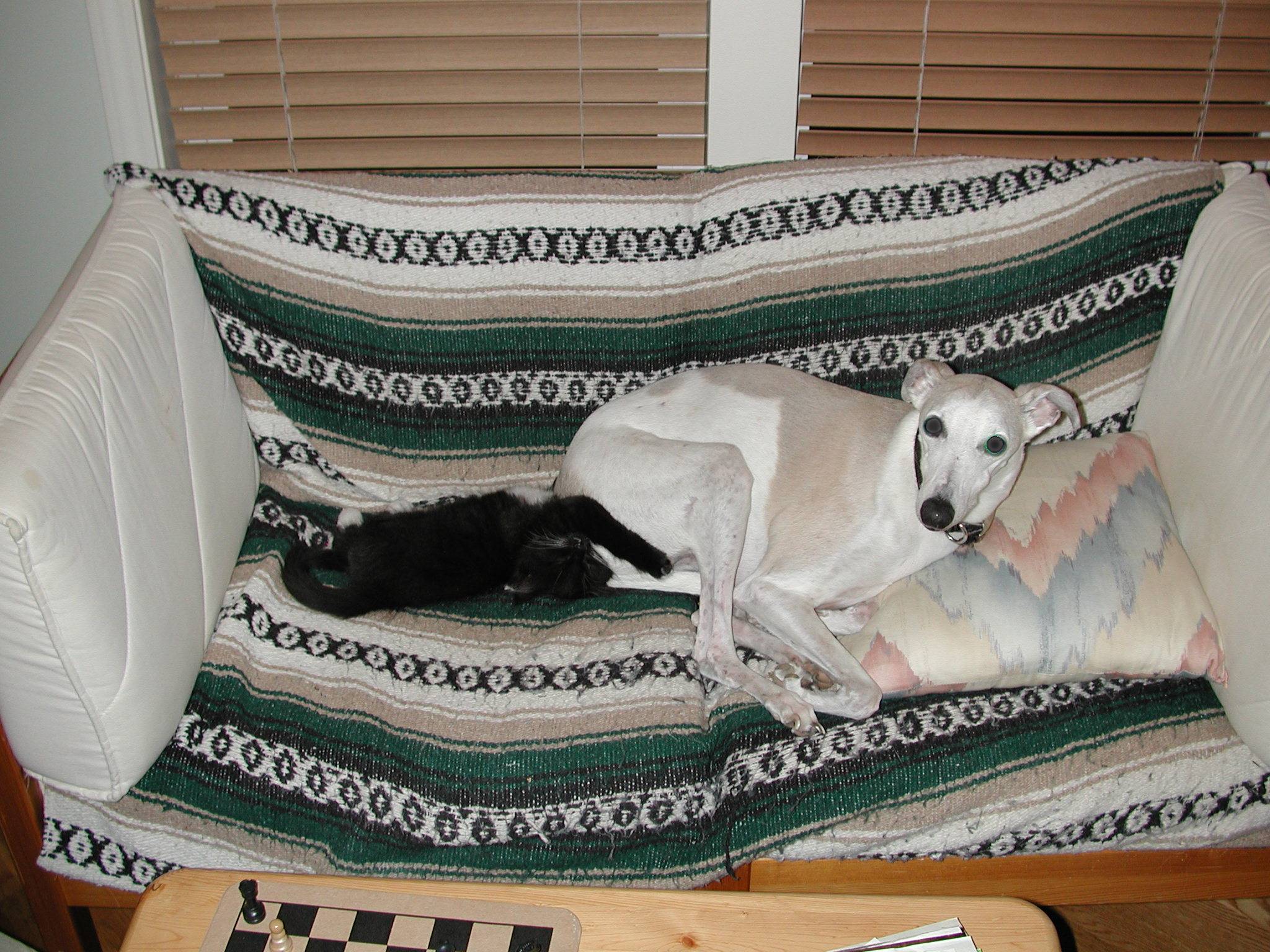 DSCN2431.JPG, 494134 bytes, 11/03/01