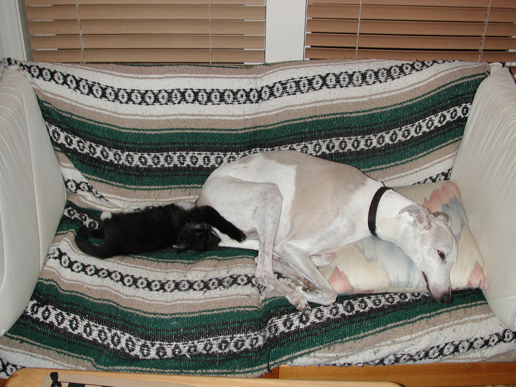 DSCN2432.JPG, 695662 bytes, 10/20/01