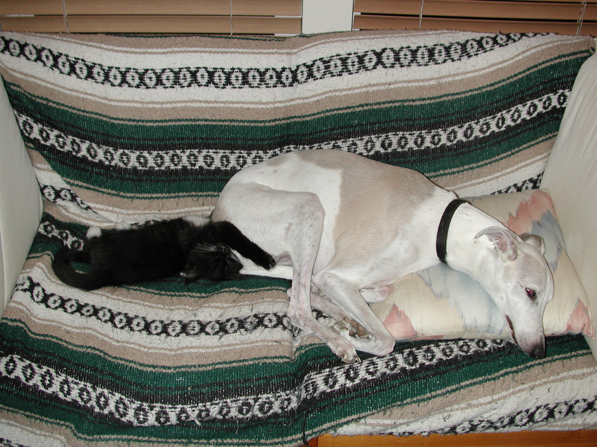 DSCN2433.JPG, 675824 bytes, 10/20/01