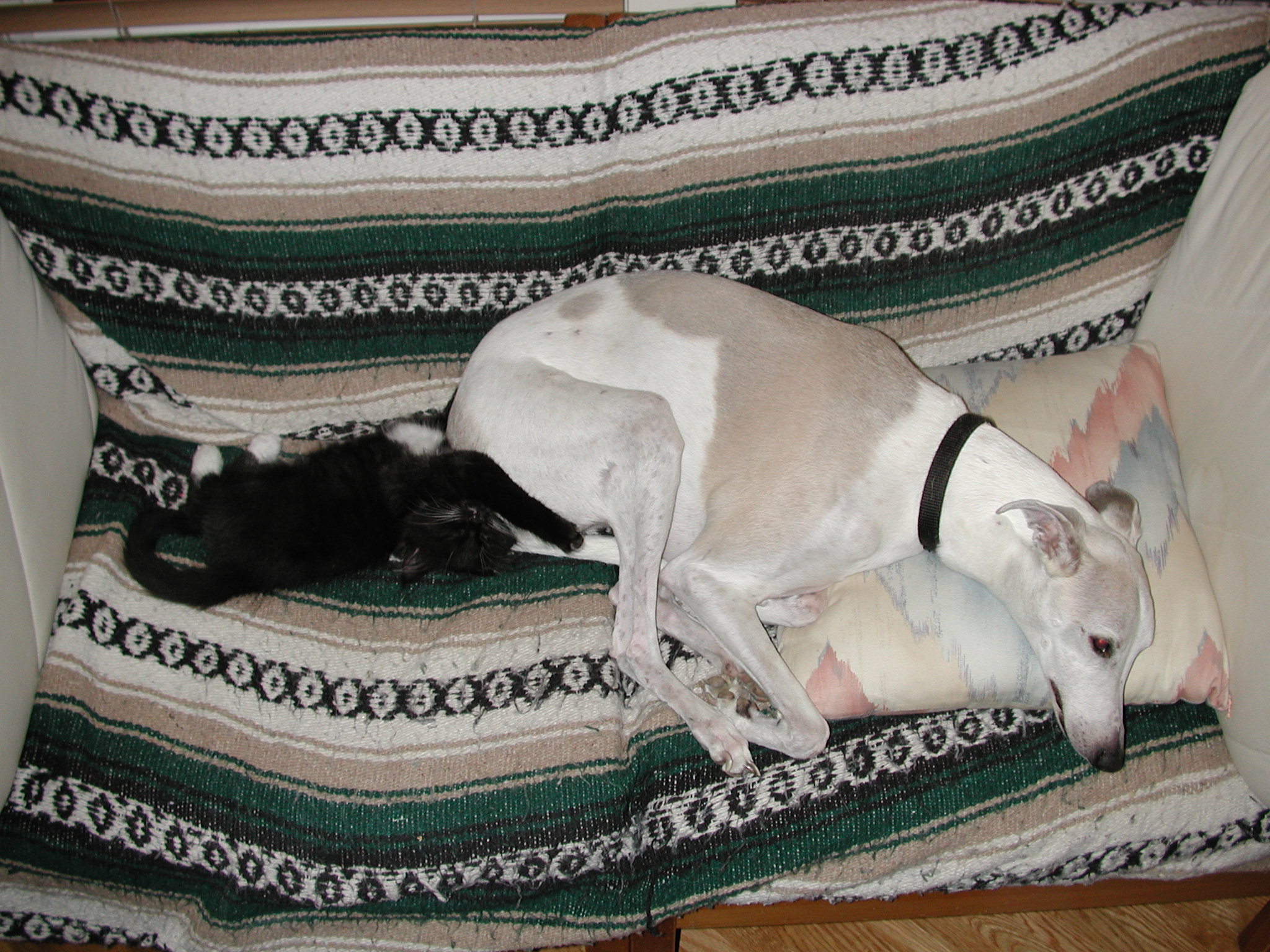 DSCN2434.JPG, 672811 bytes, 10/20/01