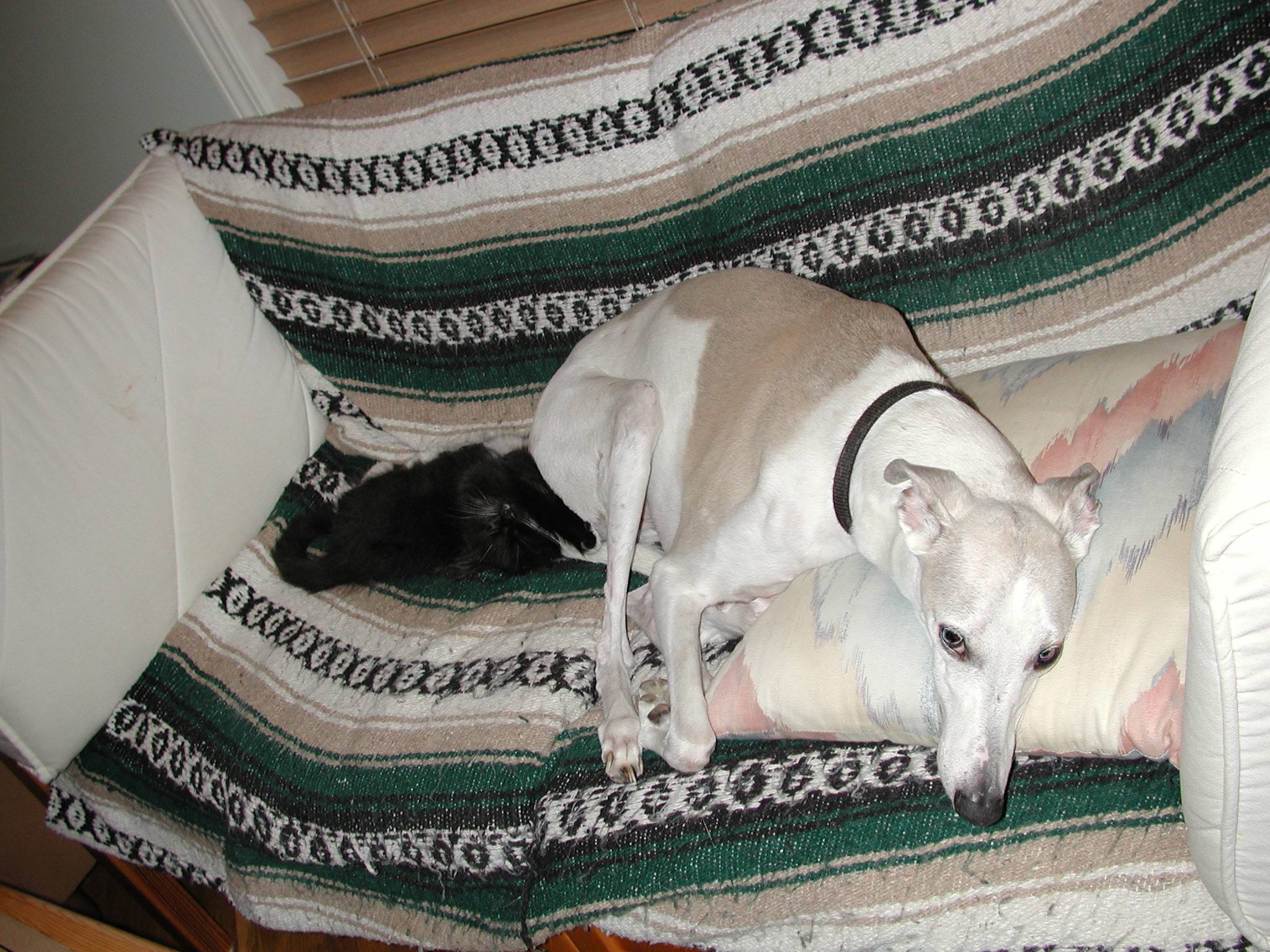 DSCN2435.JPG, 514748 bytes, 11/03/01