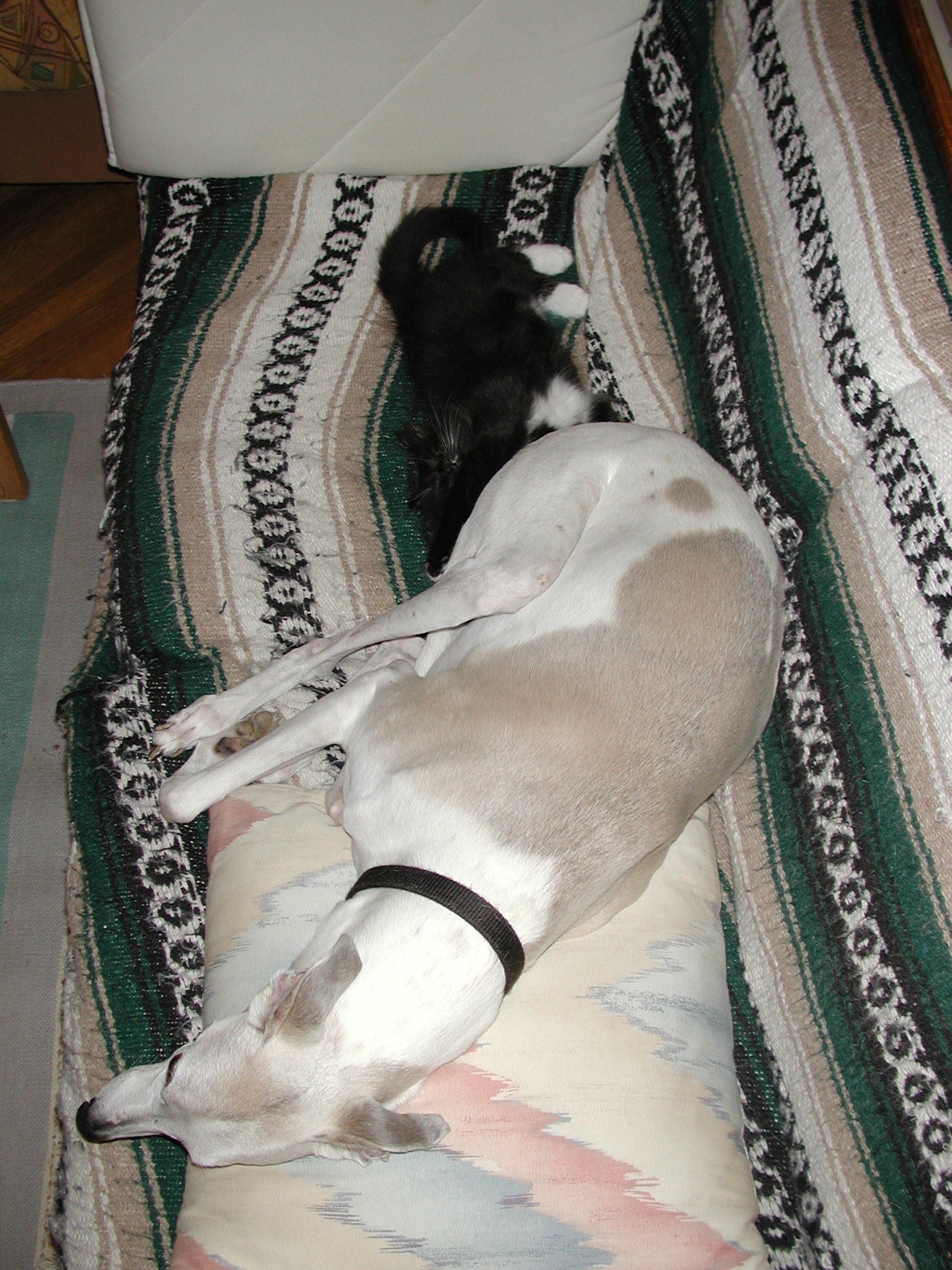 DSCN2436.JPG, 748709 bytes, 11/03/01