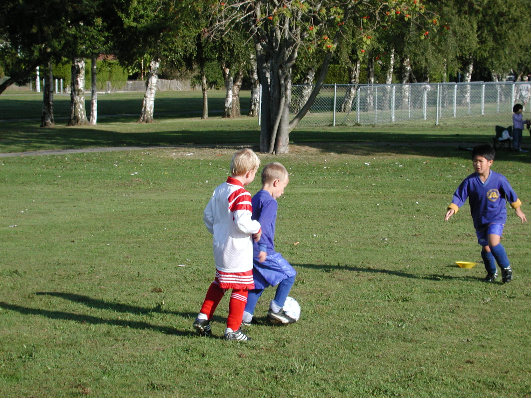 DSCN2265.JPG, 699121 bytes, 9/15/01