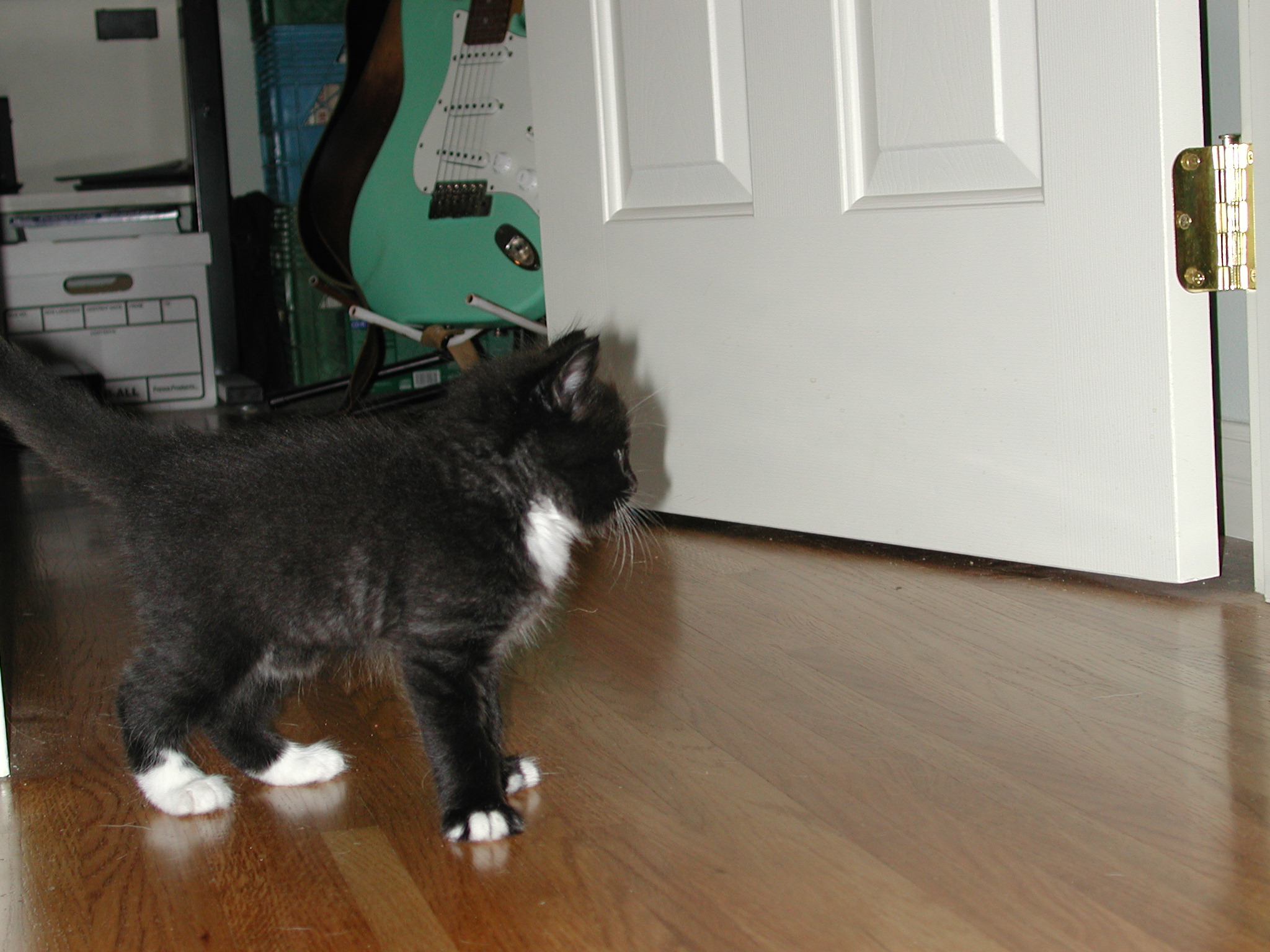 DSCN2326.JPG, 708320 bytes, 9/30/01