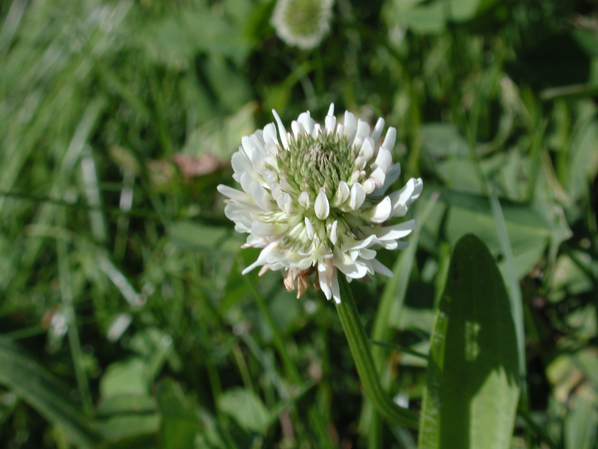 DSCN2218.JPG, 738664 bytes, 9/08/01