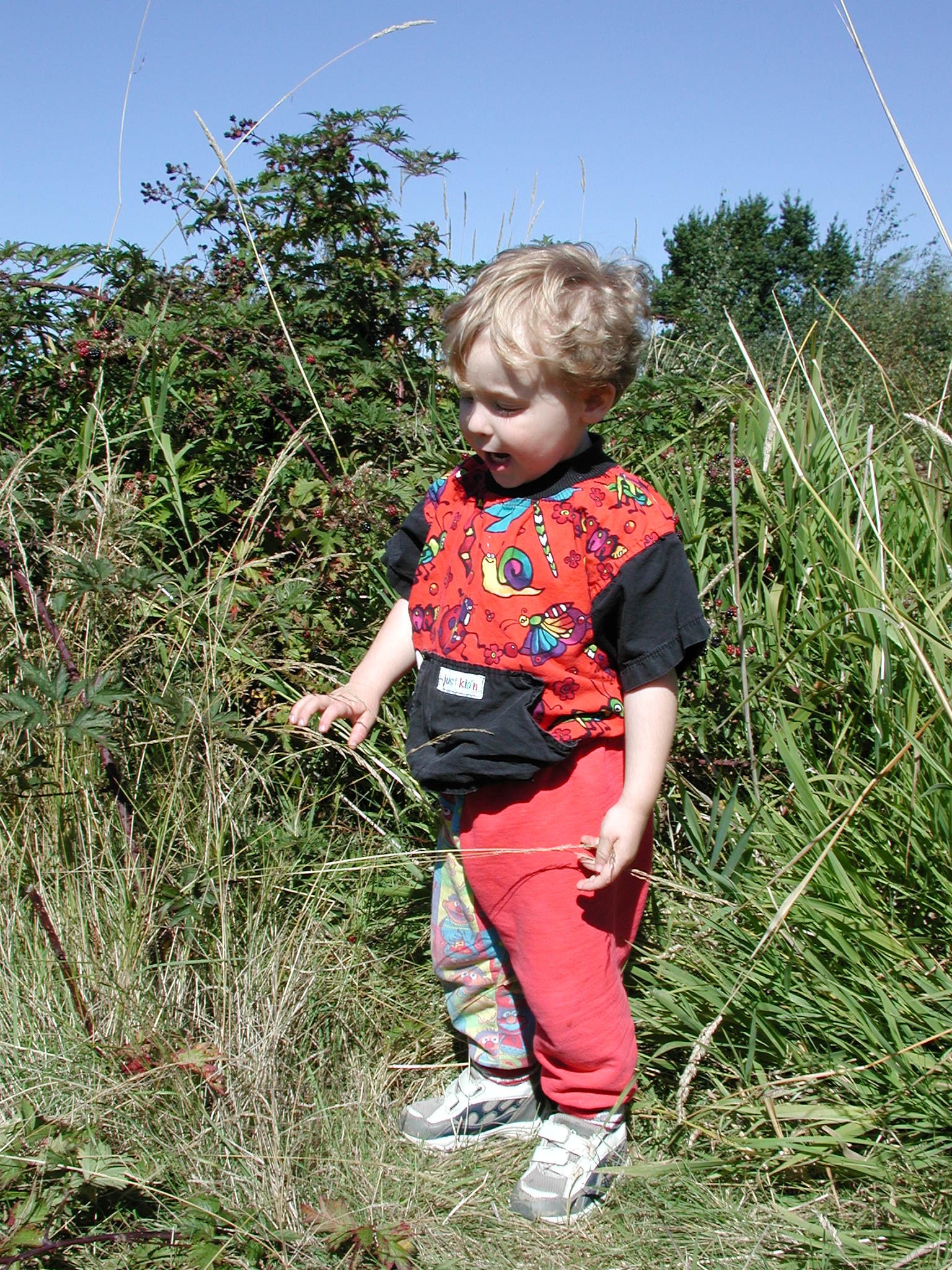 DSCN2222.JPG, 1093749 bytes, 9/08/01