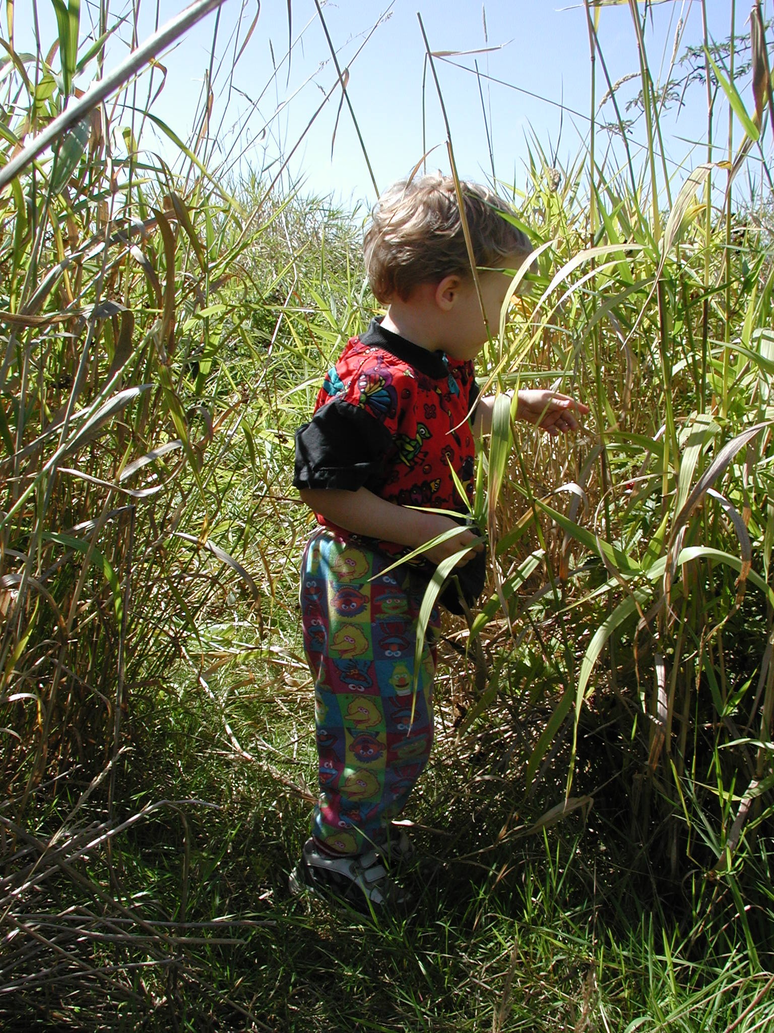 DSCN2225.JPG, 1039368 bytes, 9/08/01