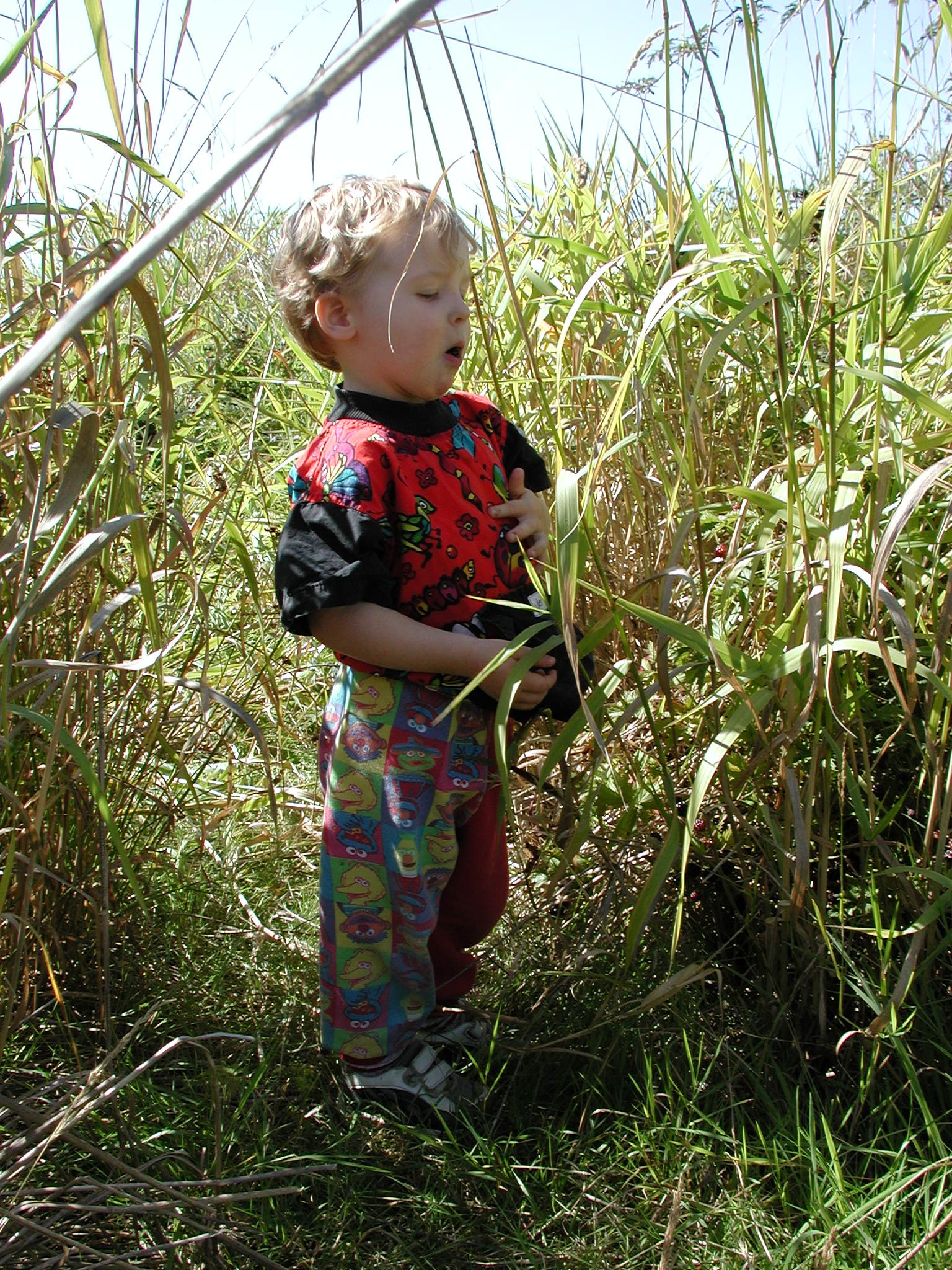 DSCN2226.JPG, 1080429 bytes, 9/08/01