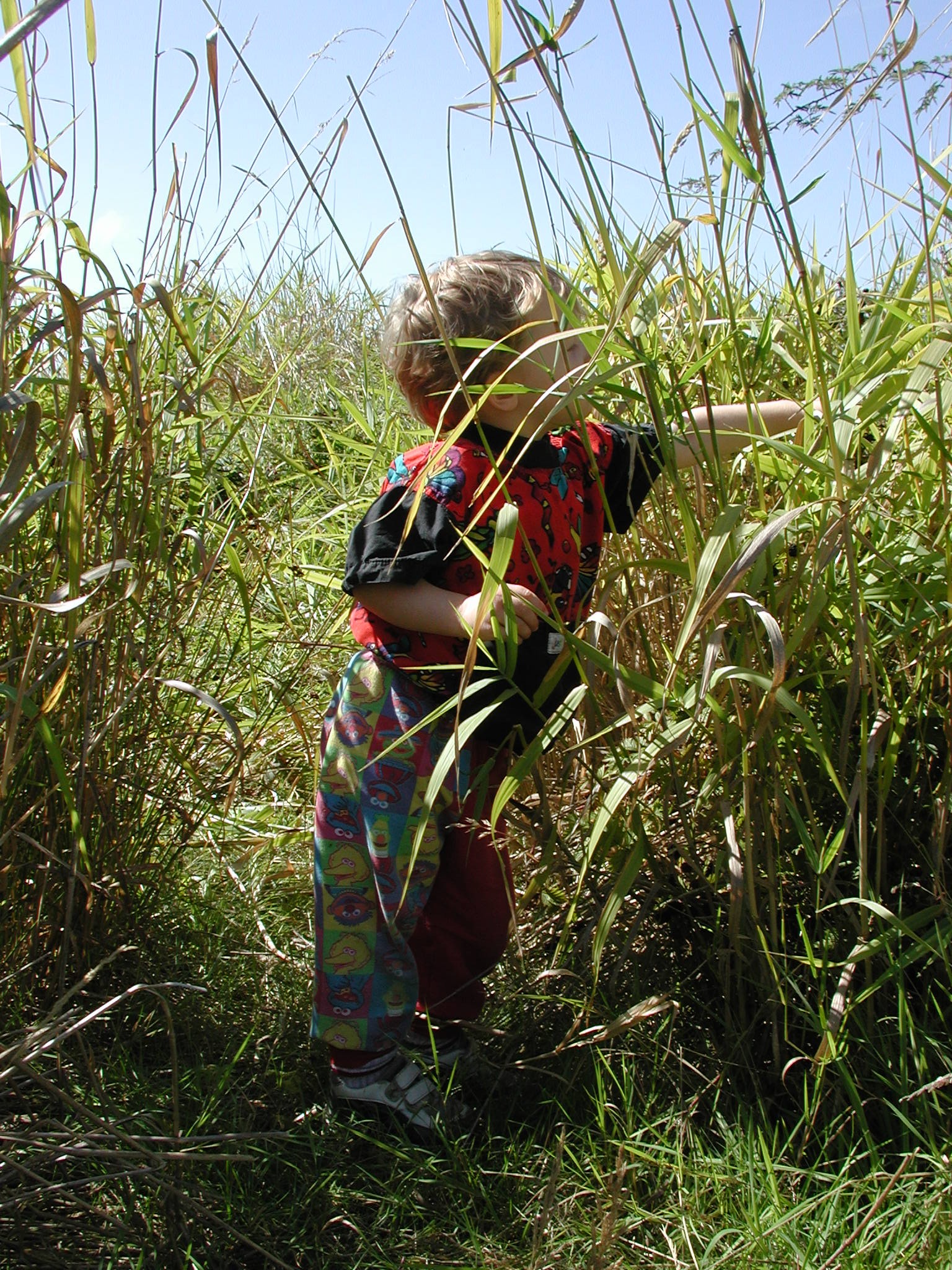 DSCN2227.JPG, 1027645 bytes, 9/08/01