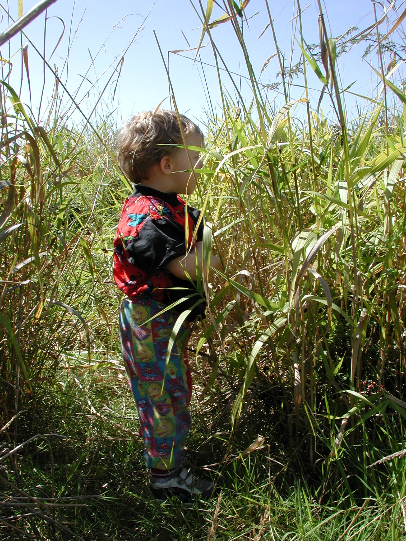 DSCN2228.JPG, 1051155 bytes, 9/08/01