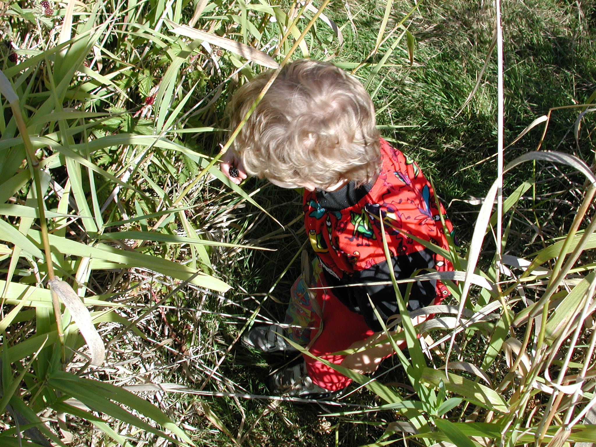 DSCN2229.JPG, 745043 bytes, 9/08/01