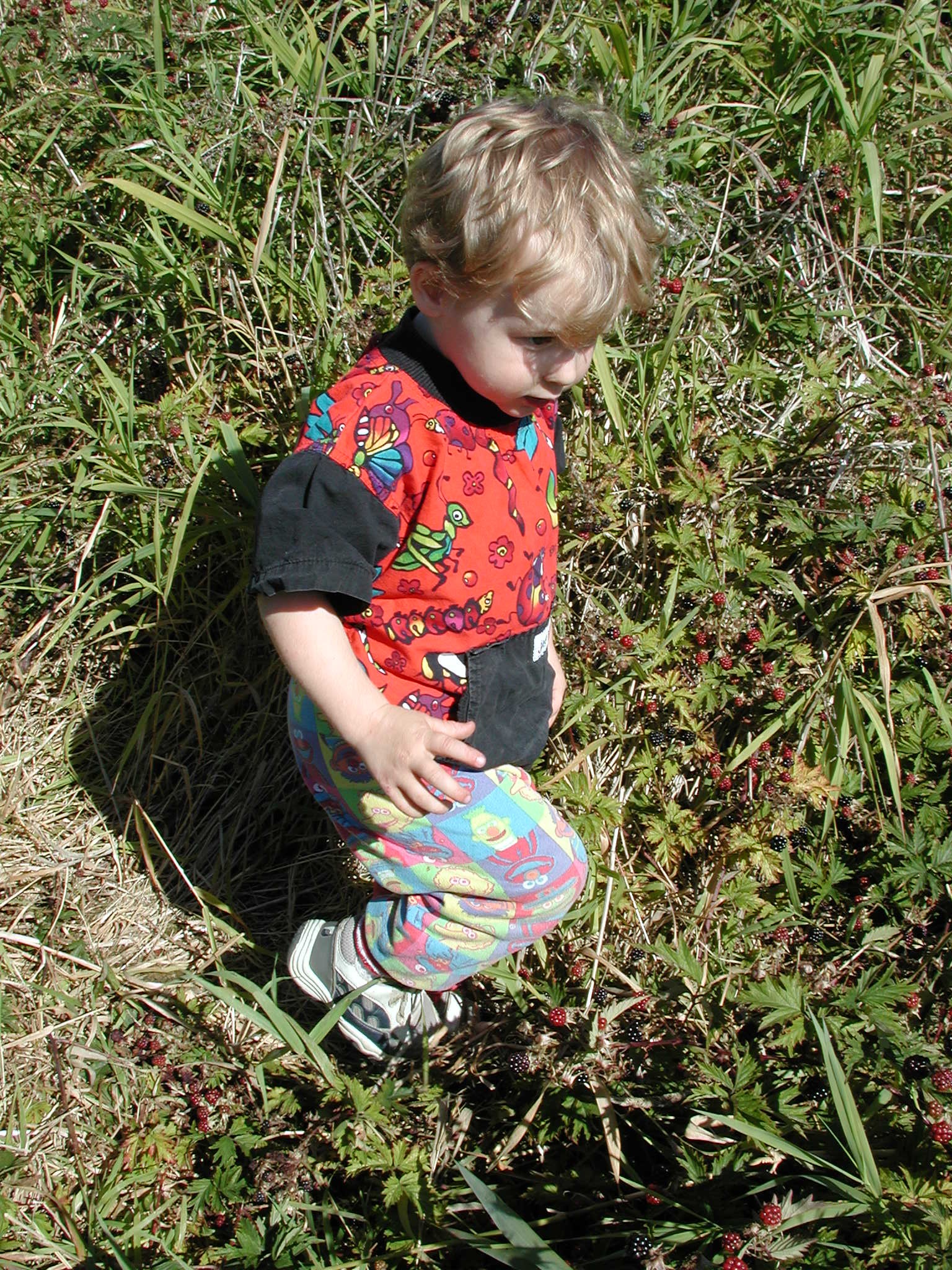 DSCN2233.JPG, 1112468 bytes, 9/08/01