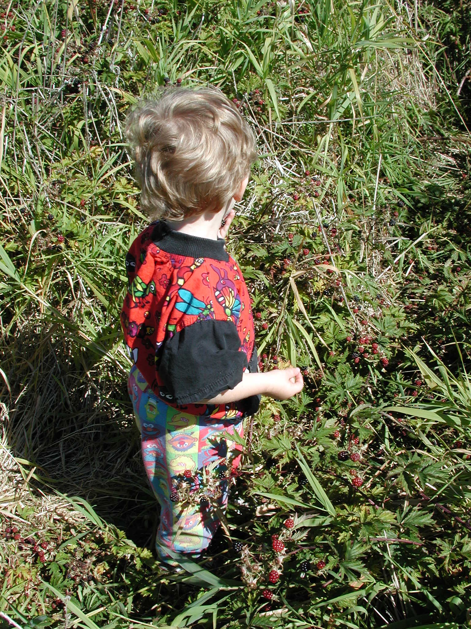 DSCN2235.JPG, 1151101 bytes, 9/08/01