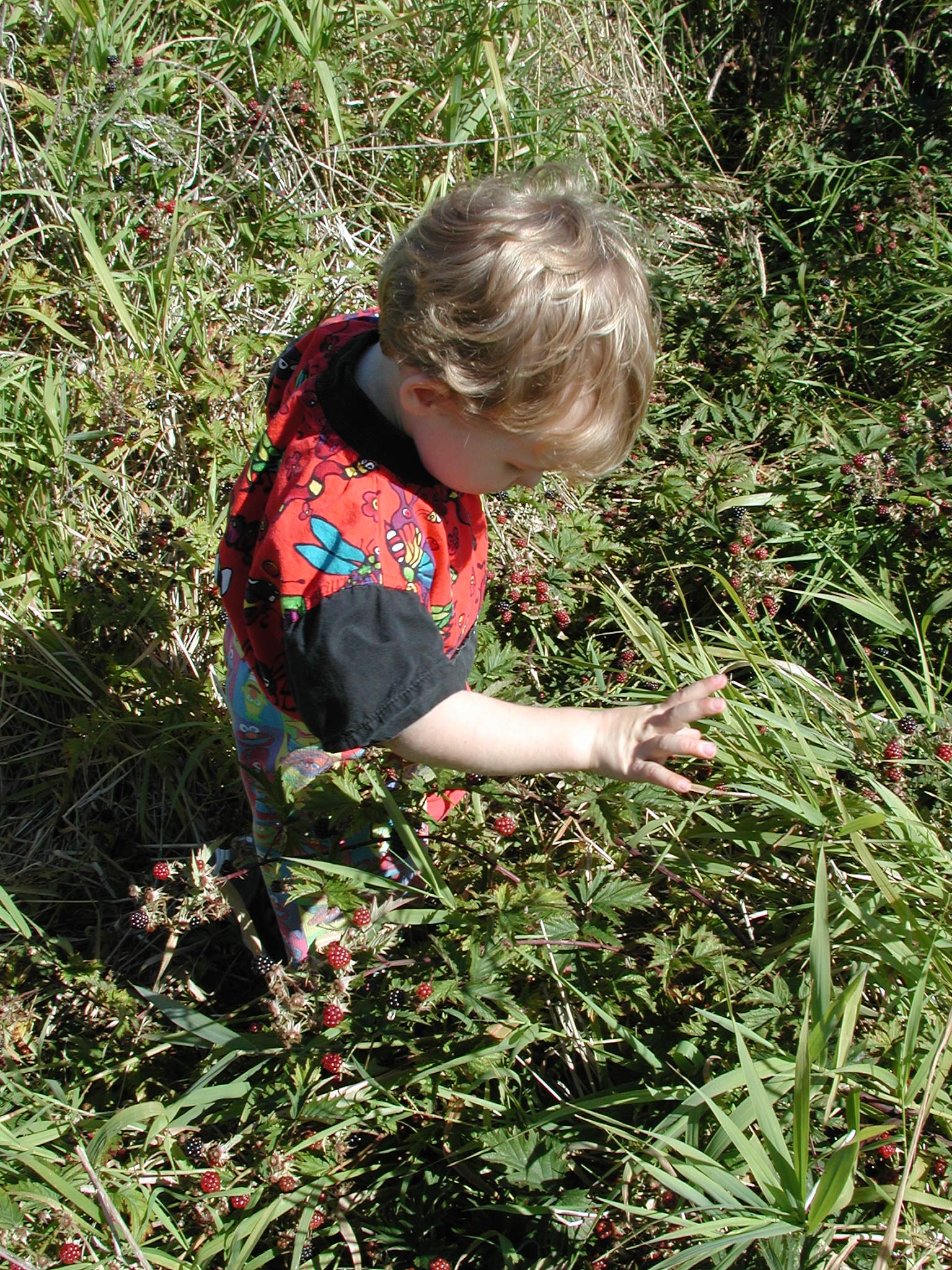 DSCN2236.JPG, 1144599 bytes, 9/08/01