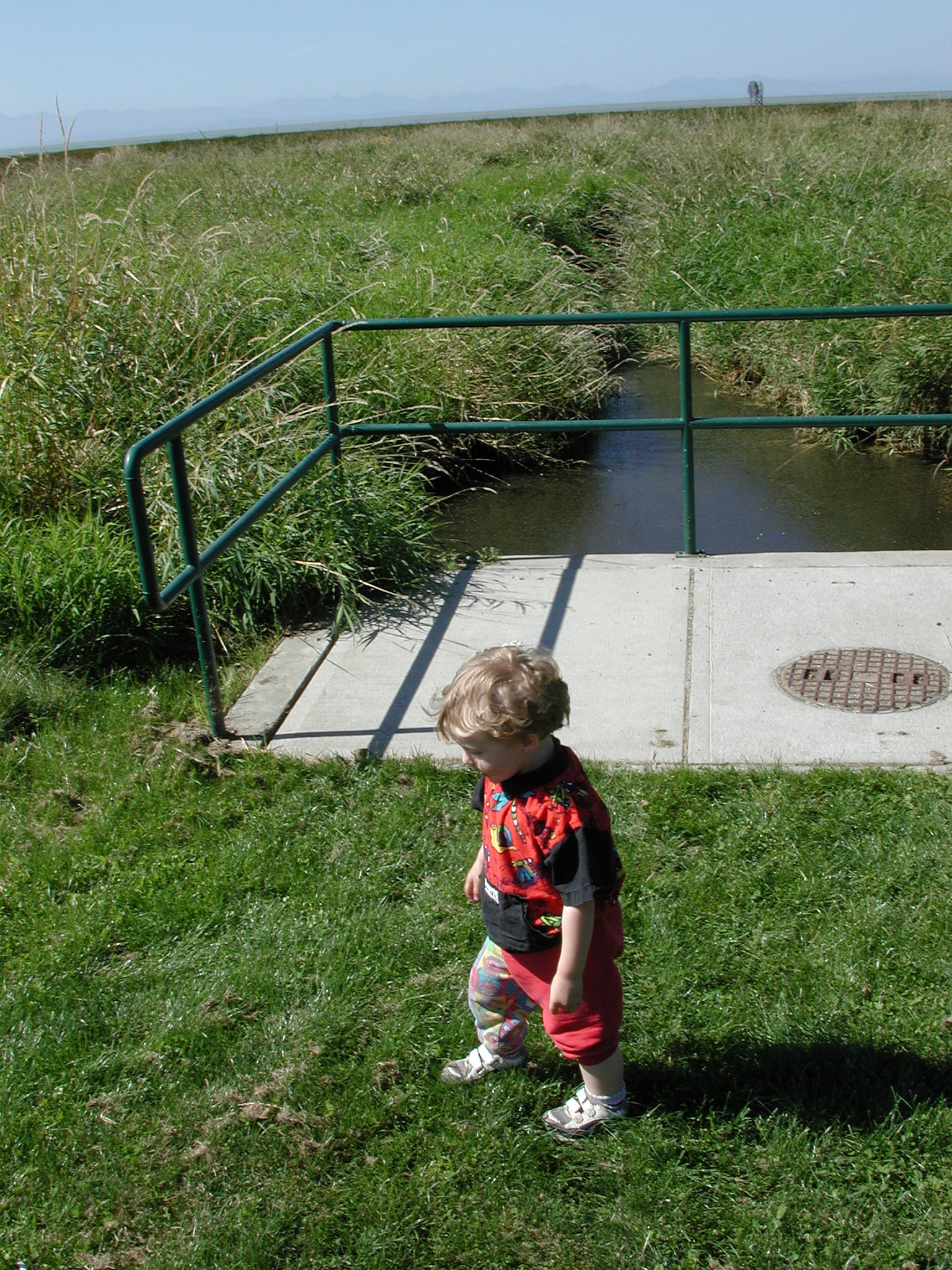 DSCN2247.JPG, 978139 bytes, 9/08/01