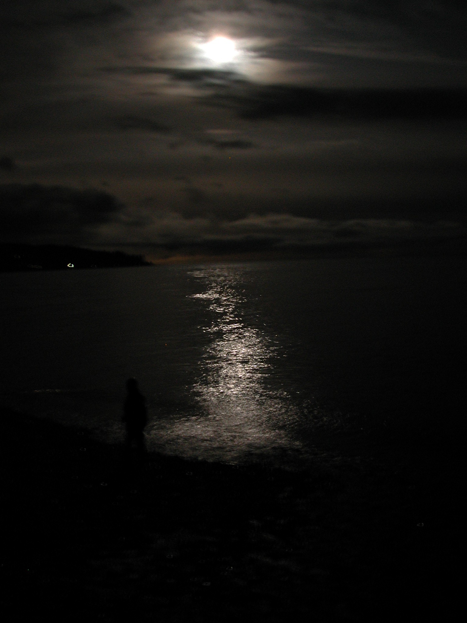 DSCN3258.JPG, 506572 bytes, 6/16/02