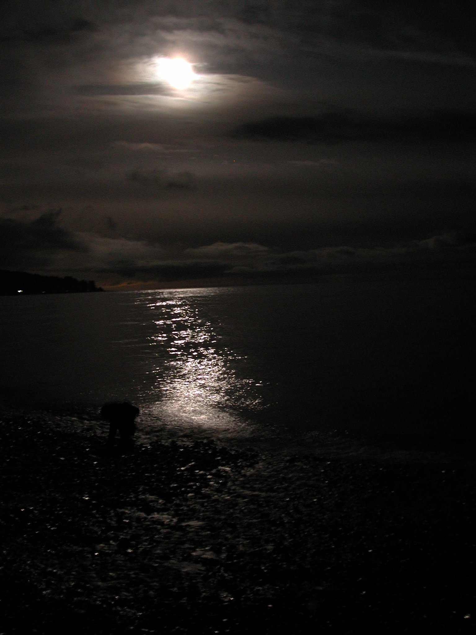 DSCN3261.JPG, 566062 bytes, 6/16/02