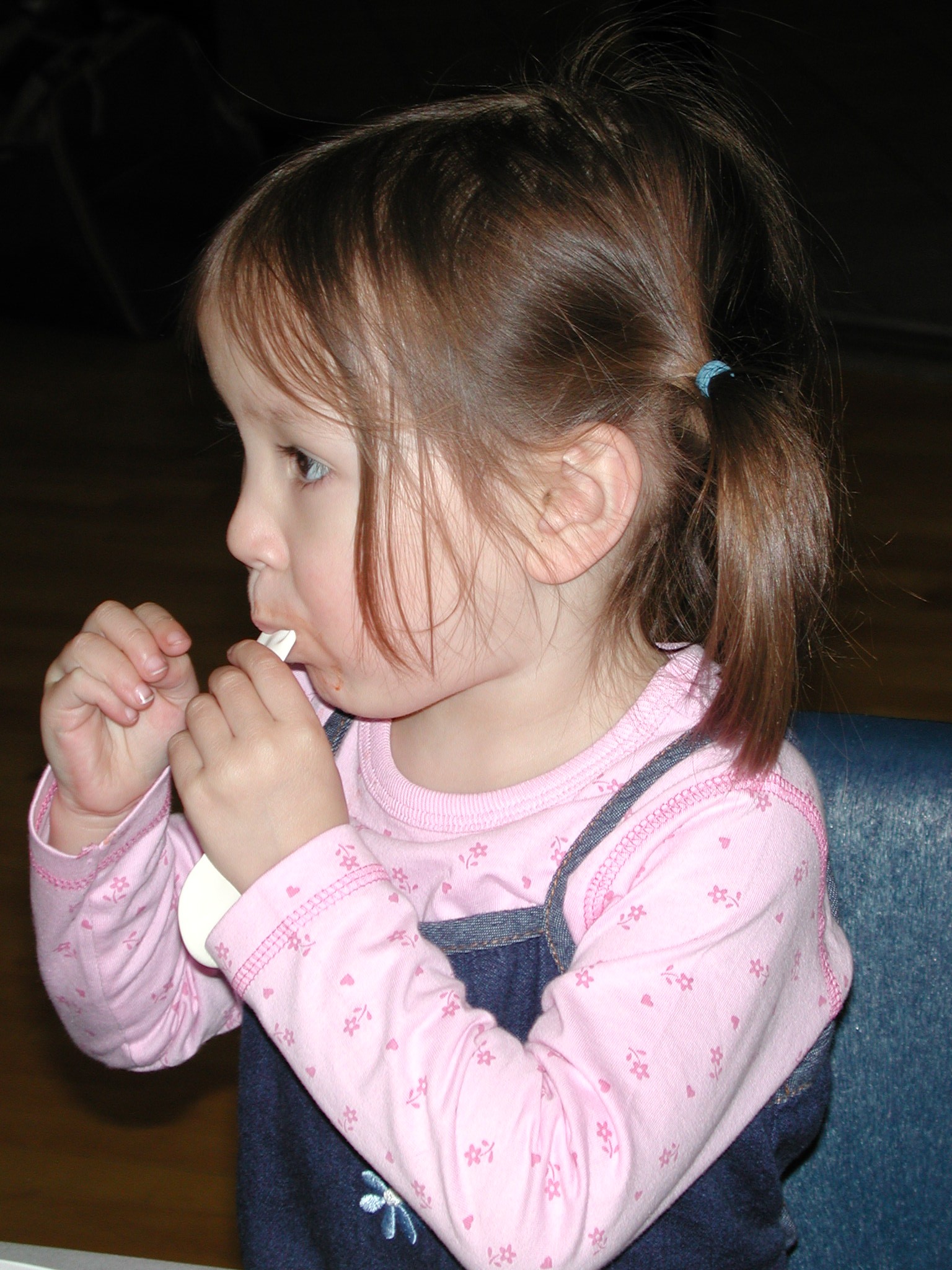 DSCN3207.JPG, 606551 bytes, 9/02/02