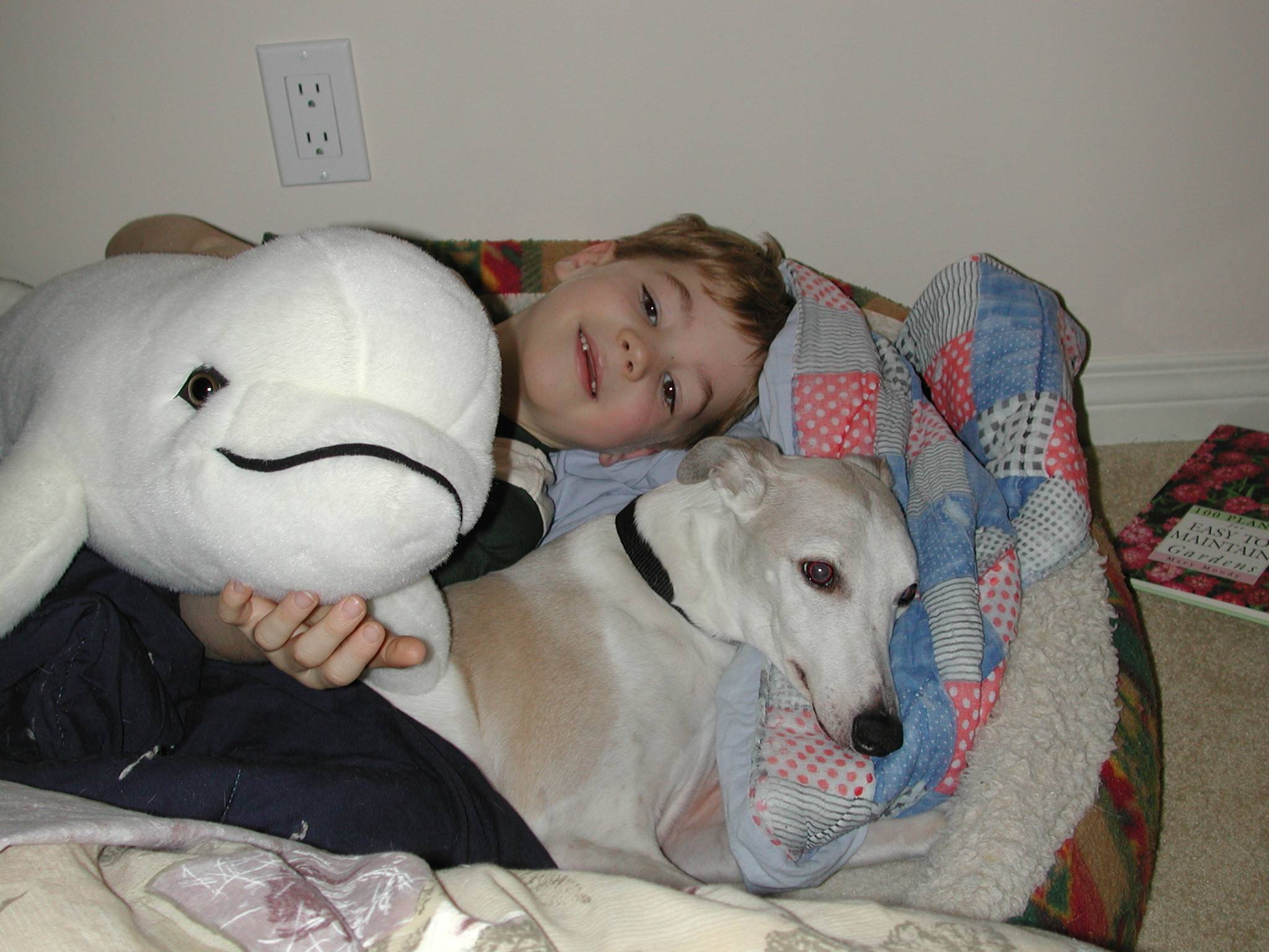 DSCN2961.JPG, 271034 bytes, 3/30/02