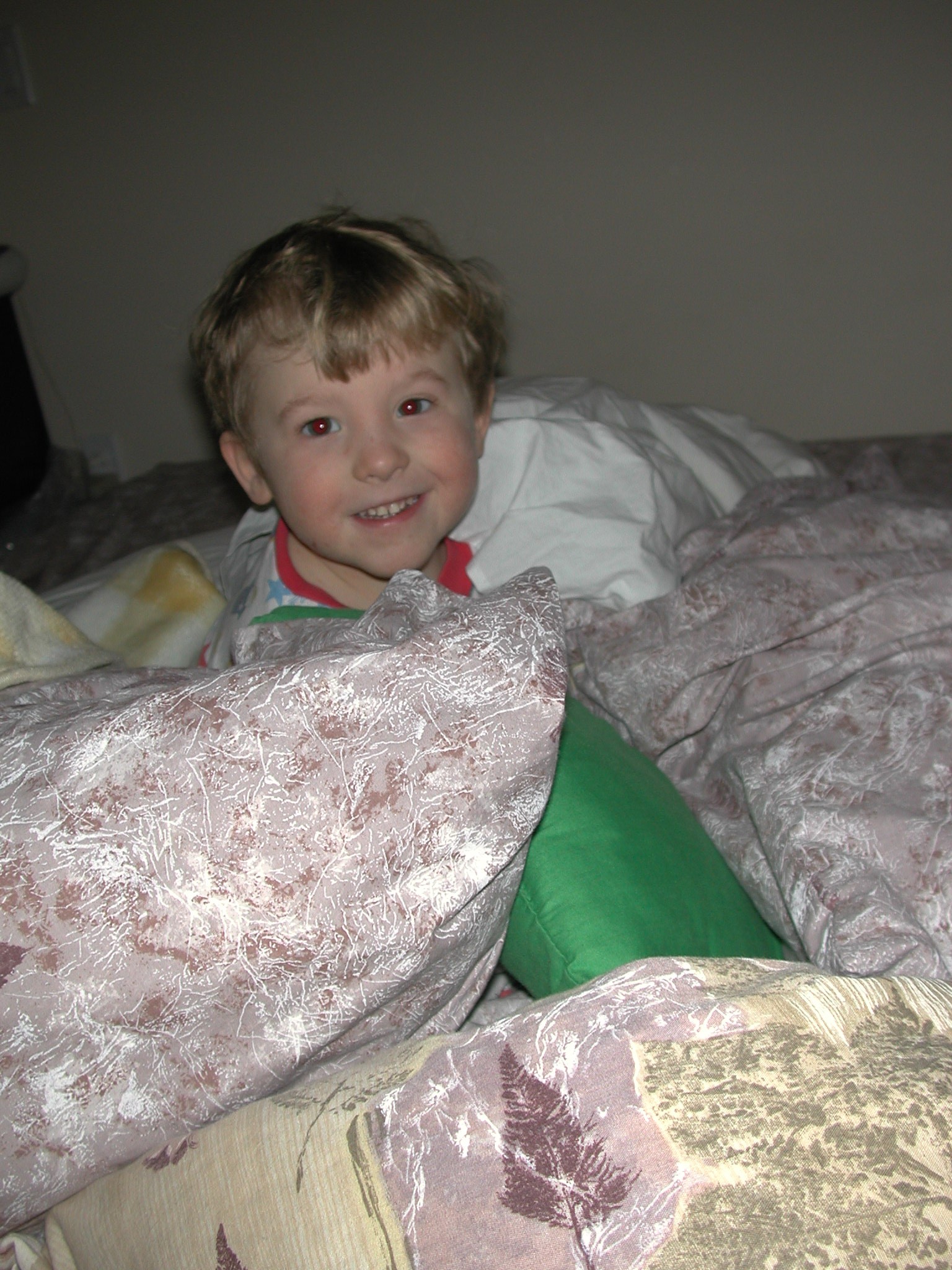 DSCN2962.JPG, 668353 bytes, 3/30/02