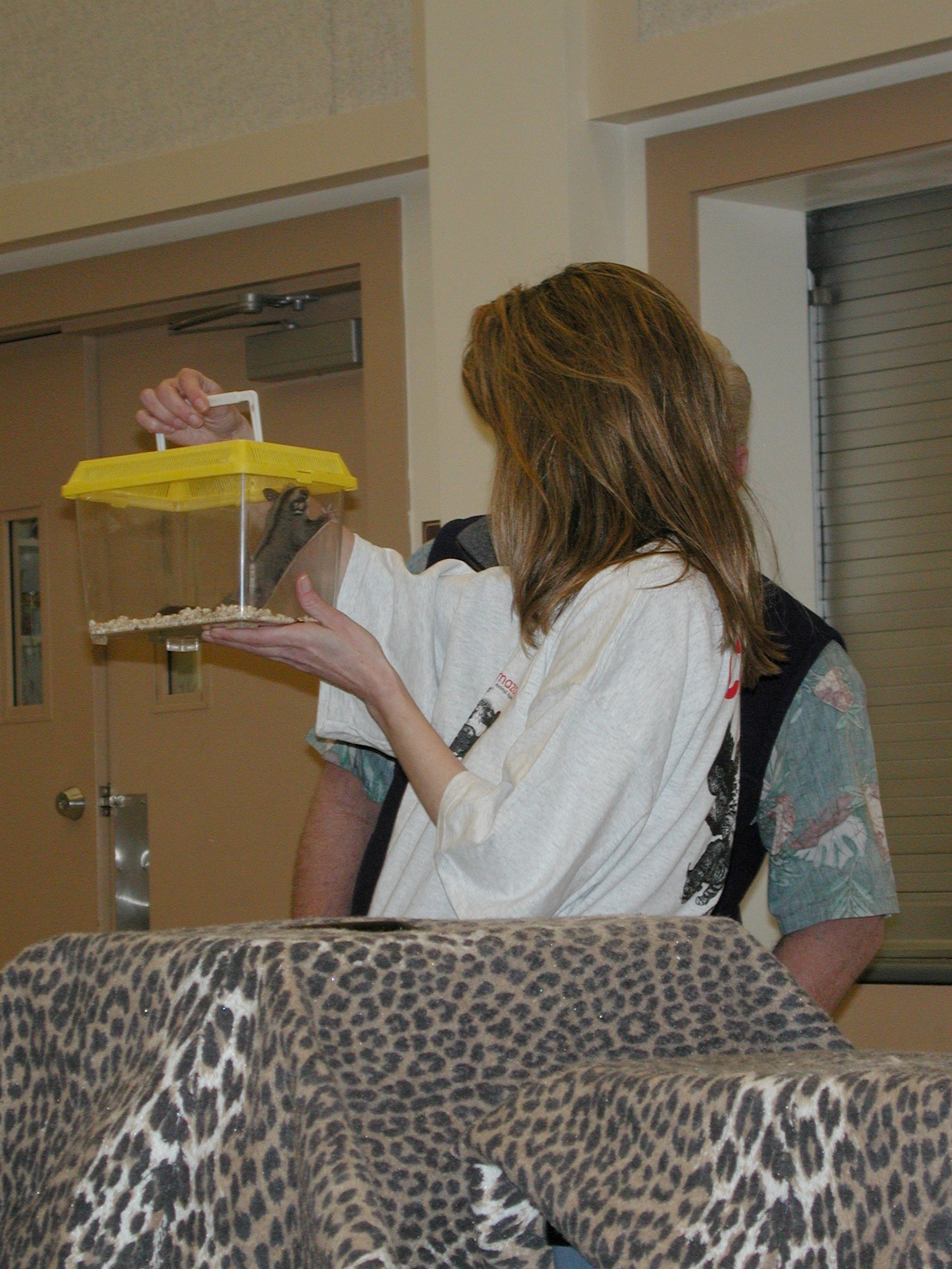 DSCN2981.JPG, 716639 bytes, 3/30/02