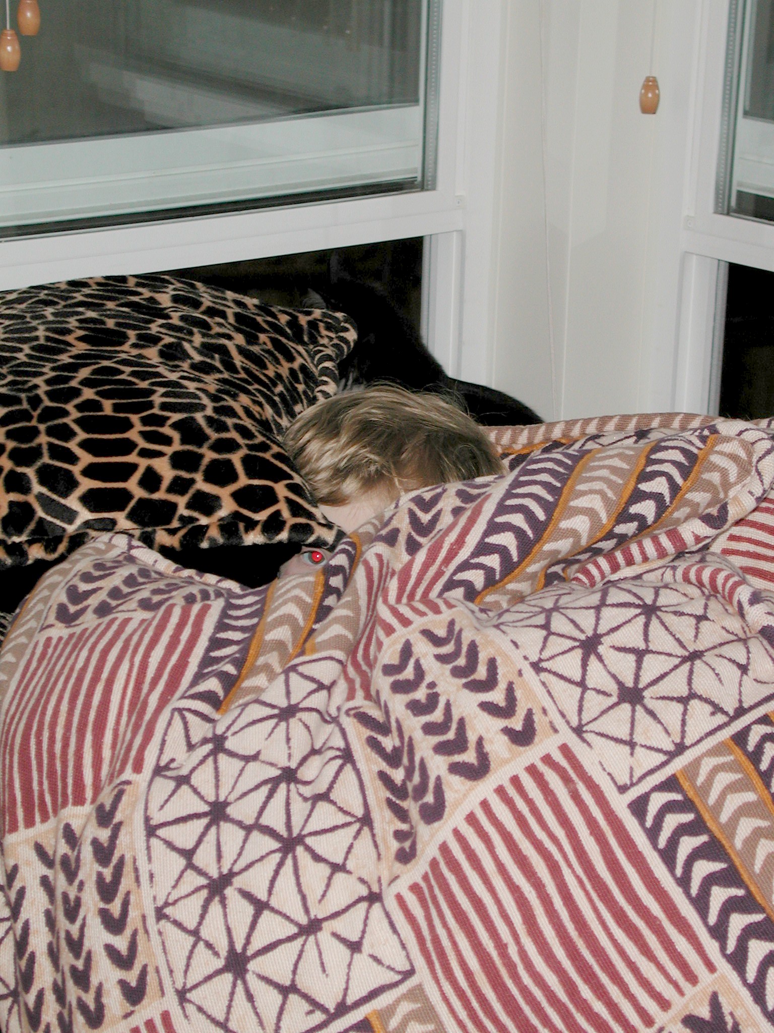 DSCN2935.JPG, 738117 bytes, 3/30/02