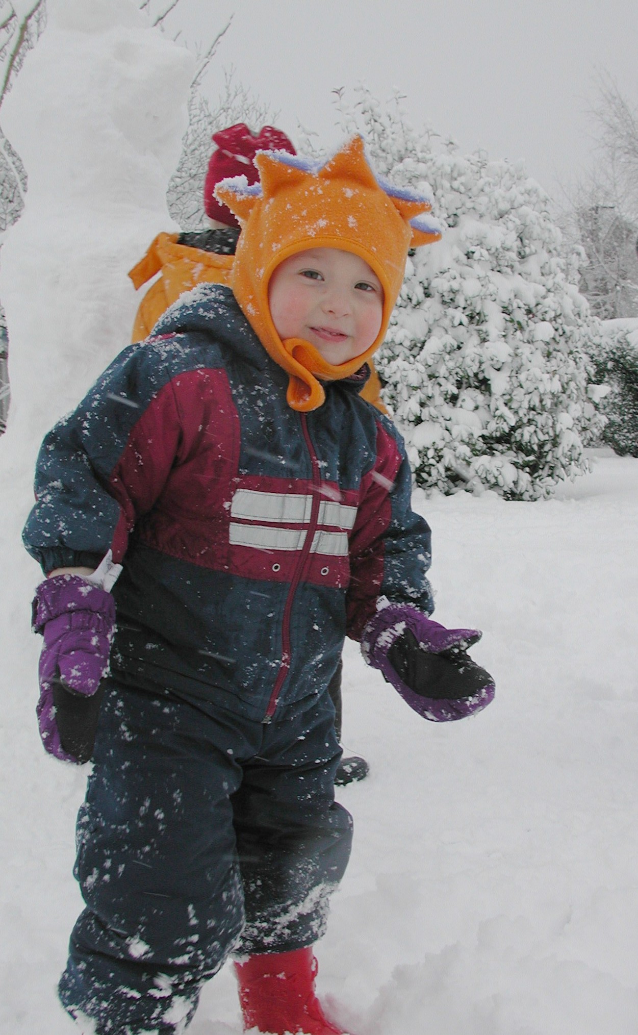 DSCN2948.JPG, 475525 bytes, 3/30/02