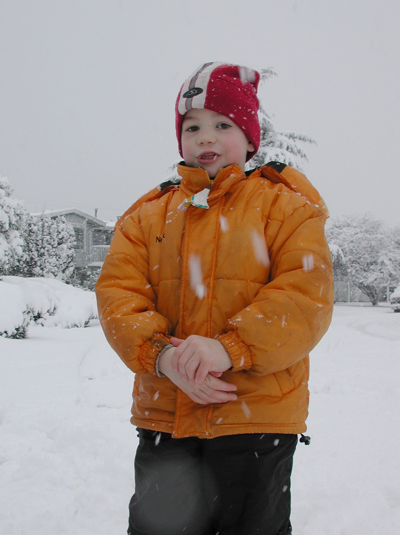 DSCN2949.JPG, 455605 bytes, 3/02/02