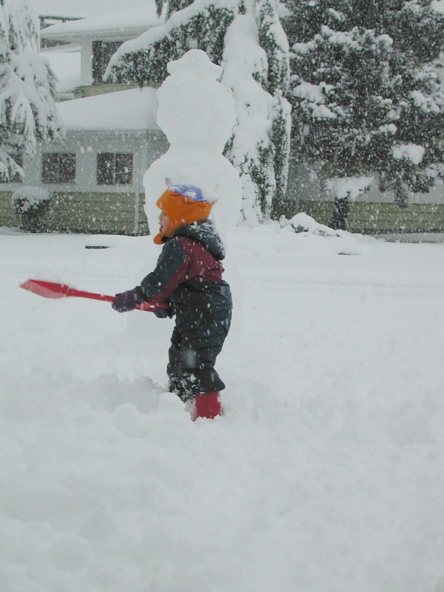 DSCN2951.JPG, 549474 bytes, 3/30/02