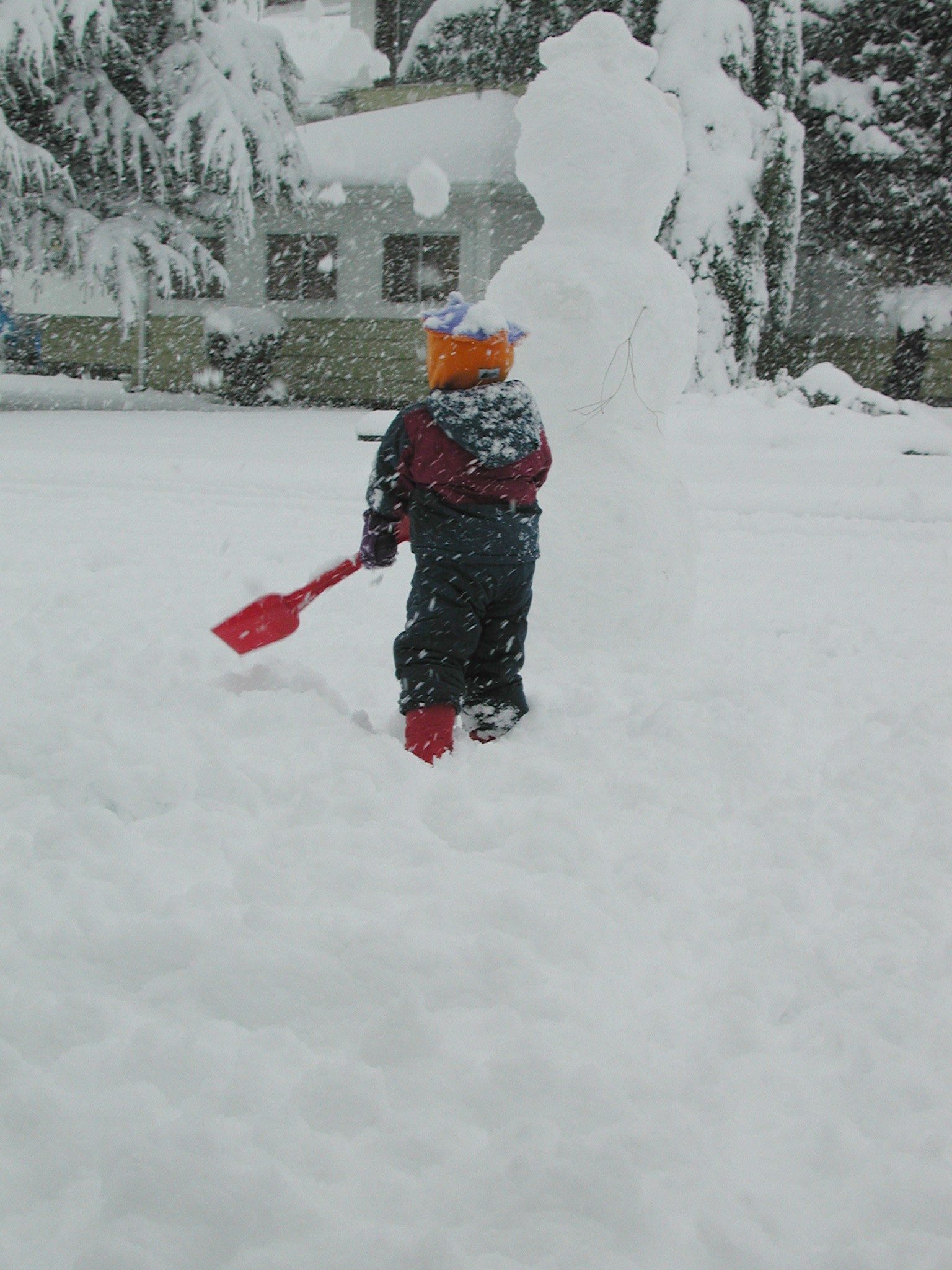 DSCN2952.JPG, 540274 bytes, 3/30/02