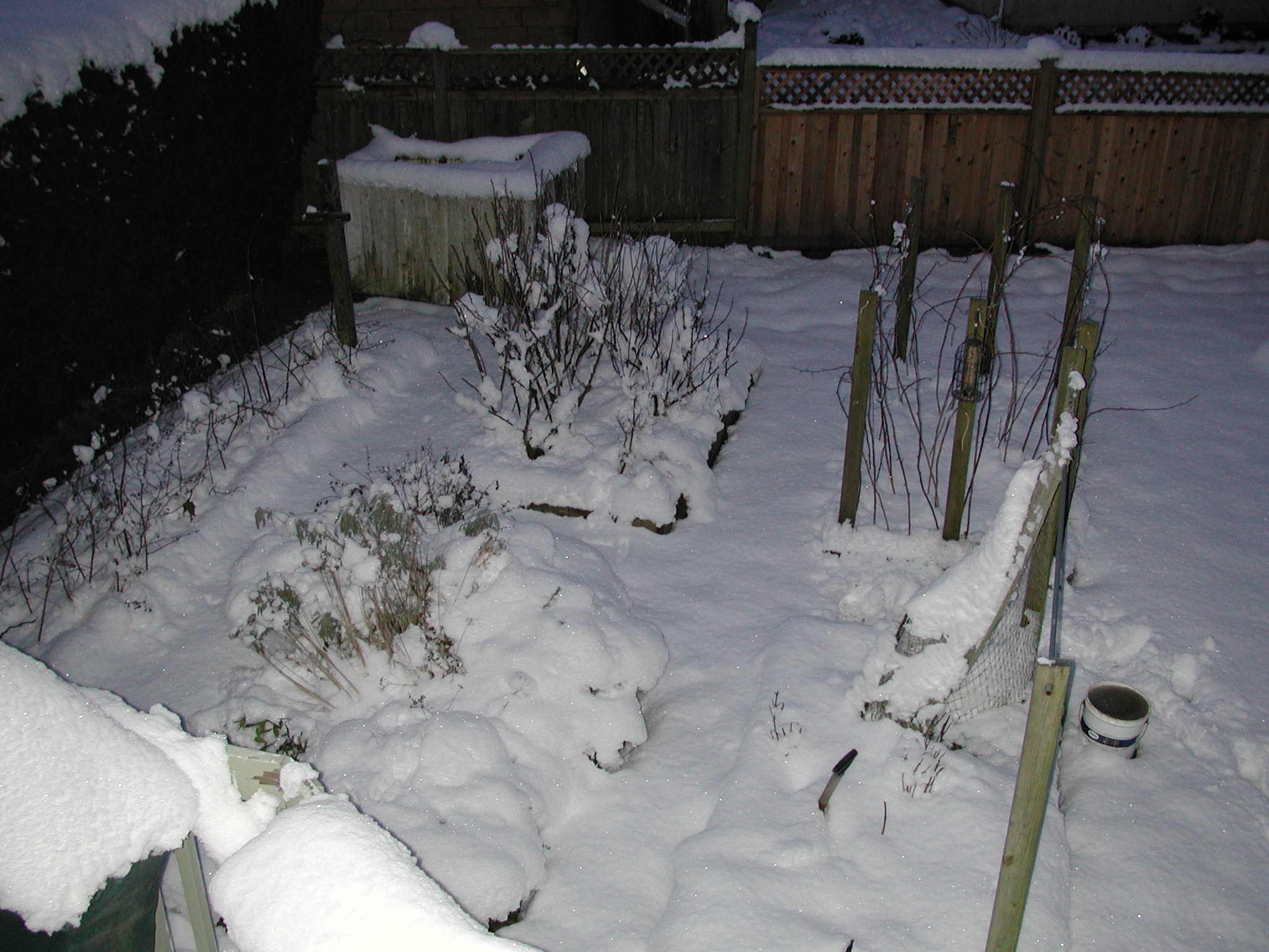 DSCN2957.JPG, 725400 bytes, 1/28/02