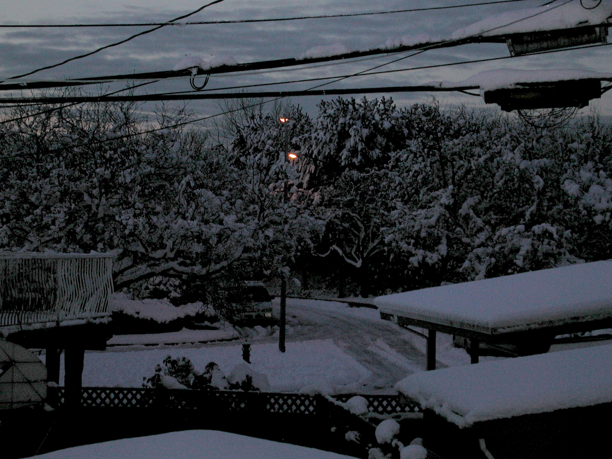 DSCN2958.JPG, 884987 bytes, 3/30/02