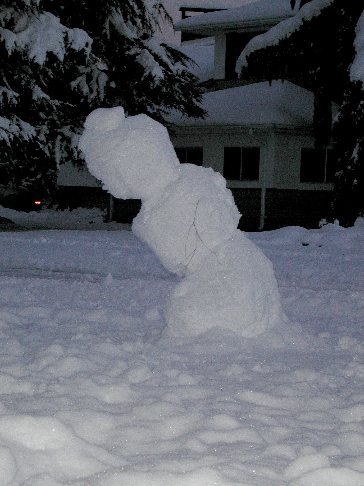 DSCN2959.JPG, 687324 bytes, 3/30/02