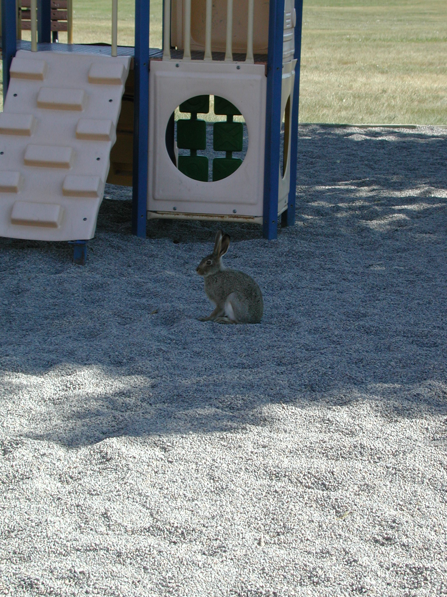 DSCN3727.JPG, 697506 bytes, 7/07/02