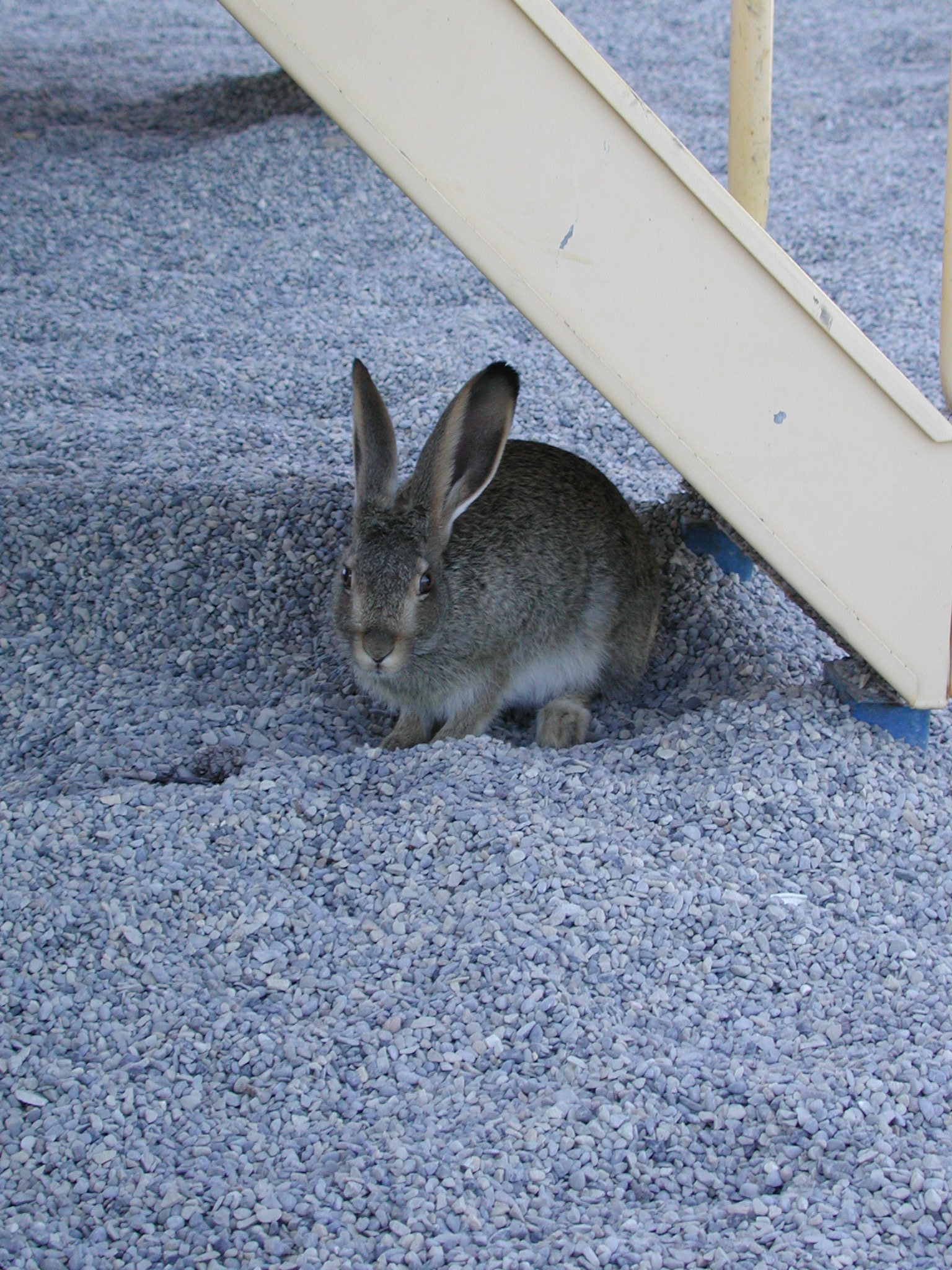 DSCN3728.JPG, 672675 bytes, 7/07/02