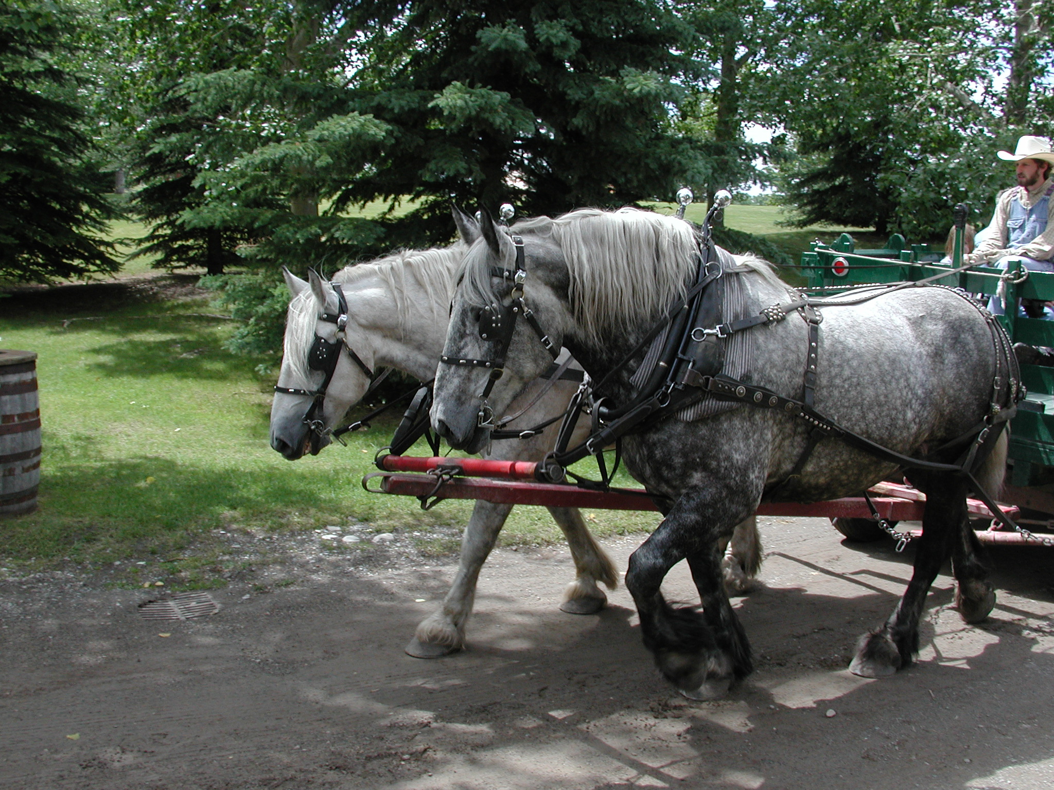 DSCN3922.JPG, 1089317 bytes, 7/09/02