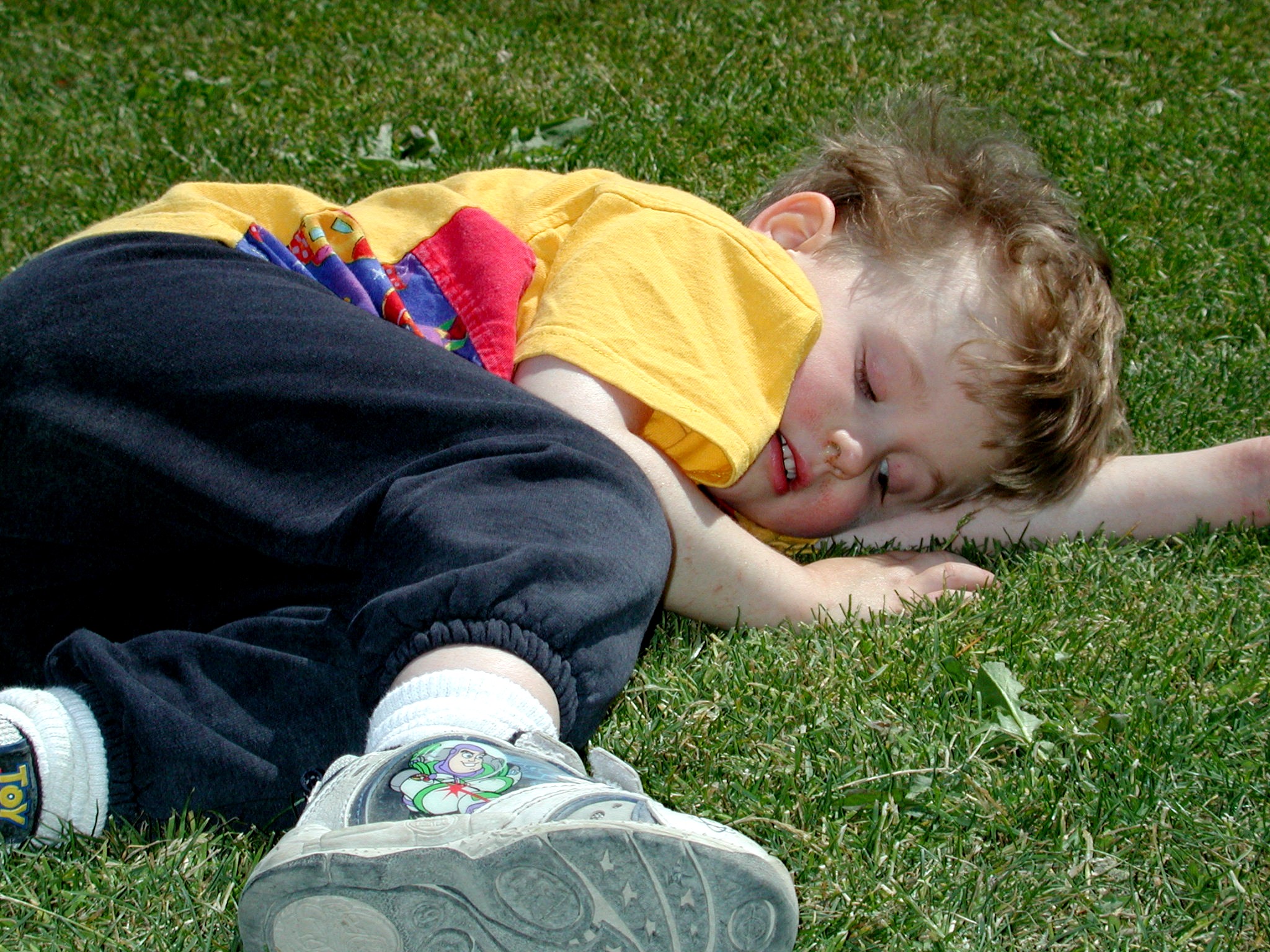 DSCN3557.JPG, 889185 bytes, 6/16/02