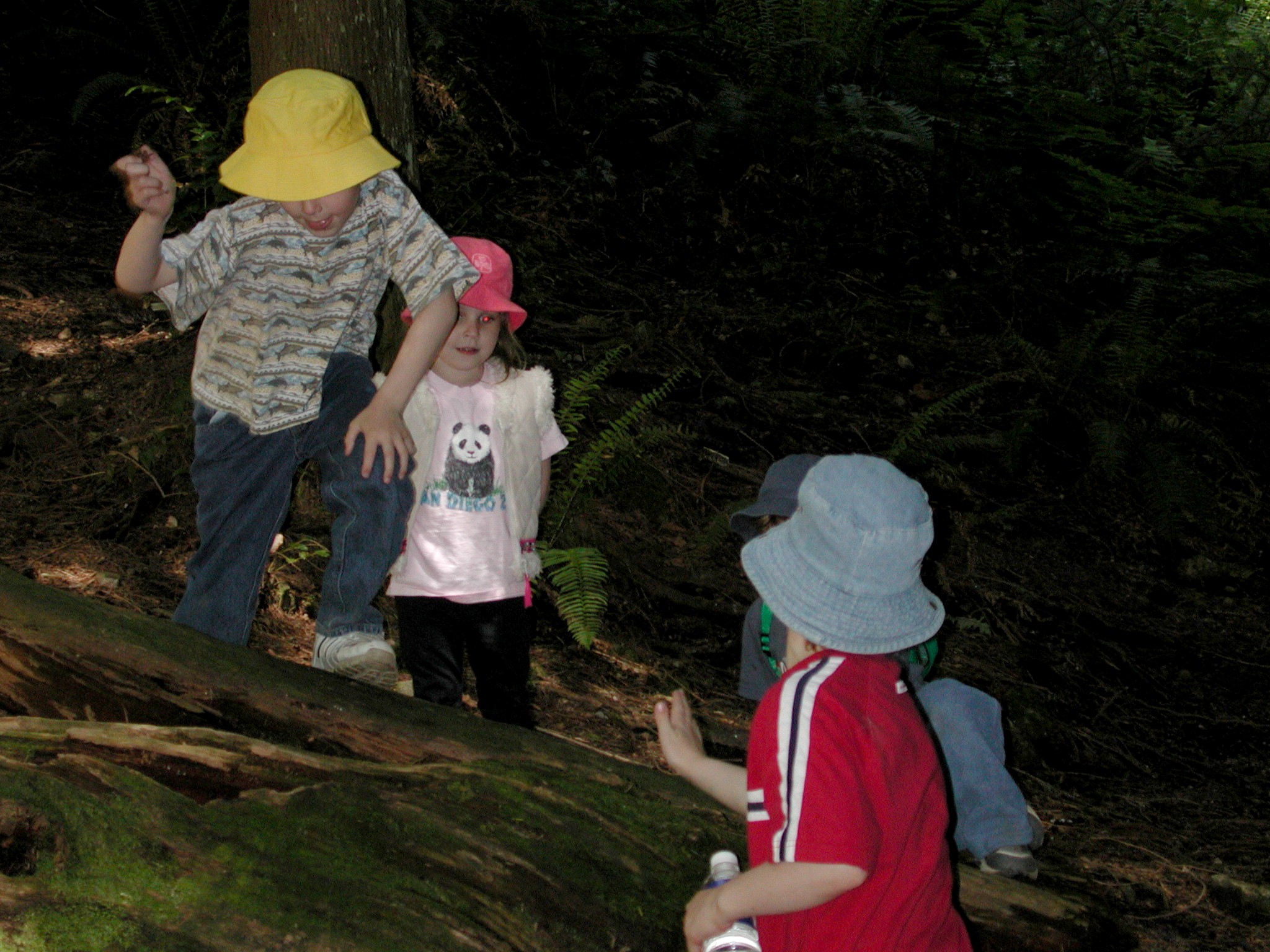 DSCN3376.JPG, 700245 bytes, 9/15/02