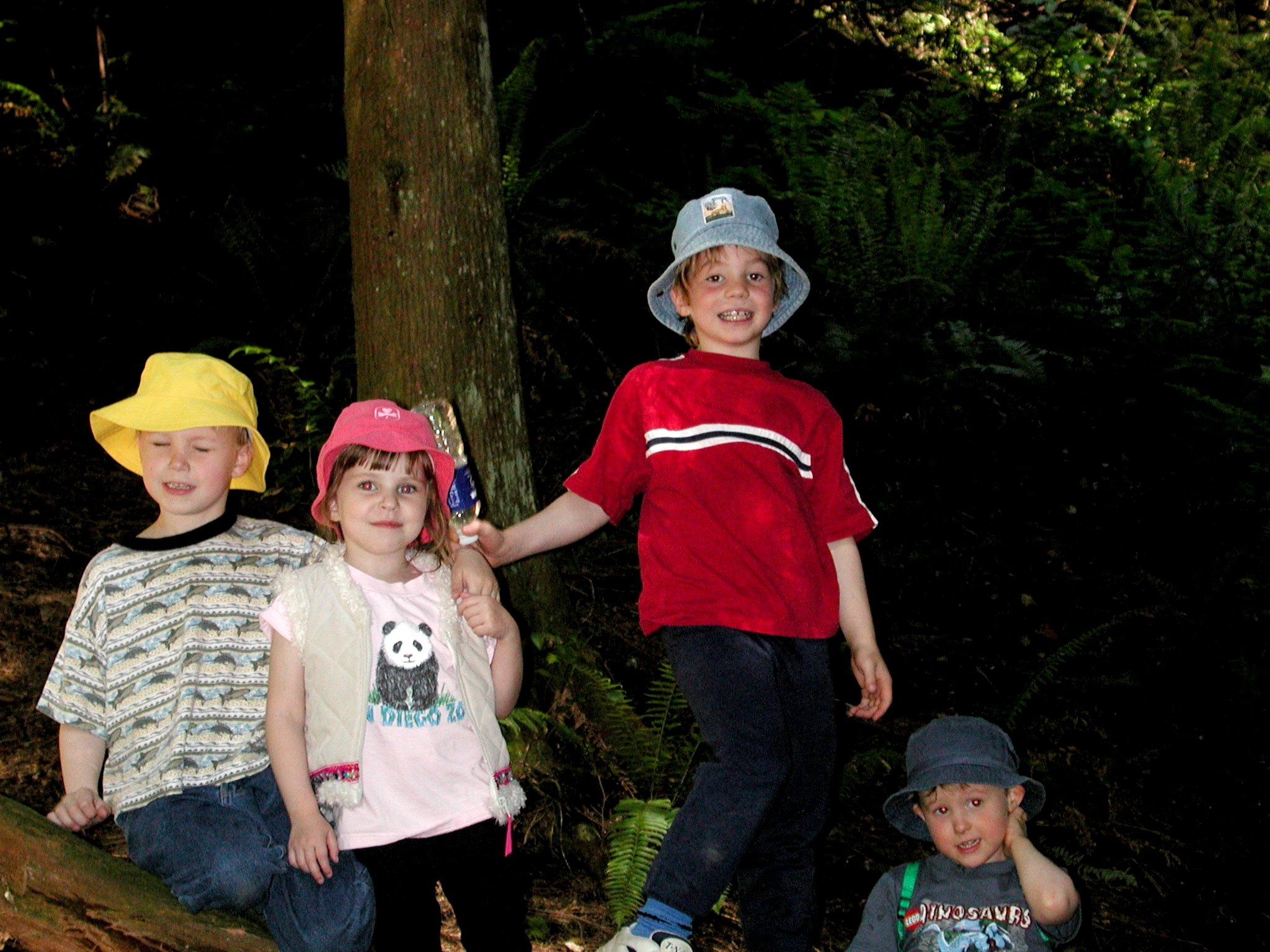 DSCN3378.JPG, 660292 bytes, 9/15/02