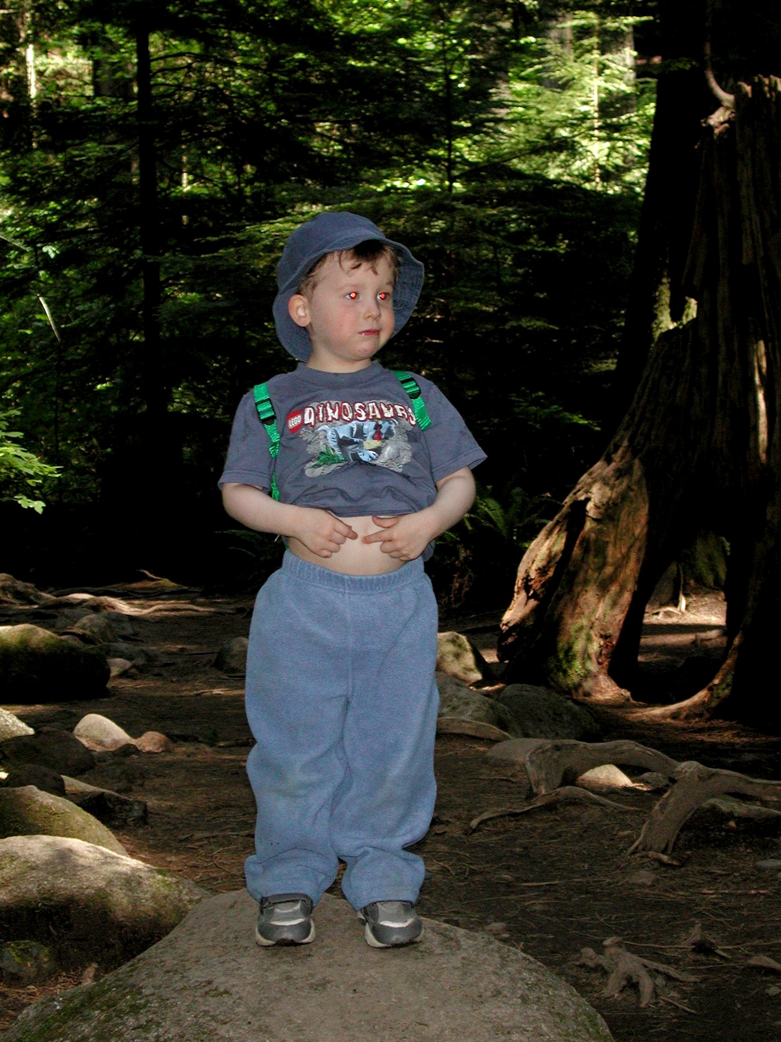 DSCN3379.JPG, 724405 bytes, 9/15/02